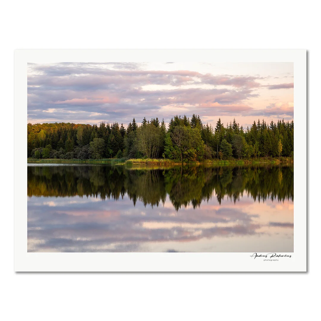 The Mirror