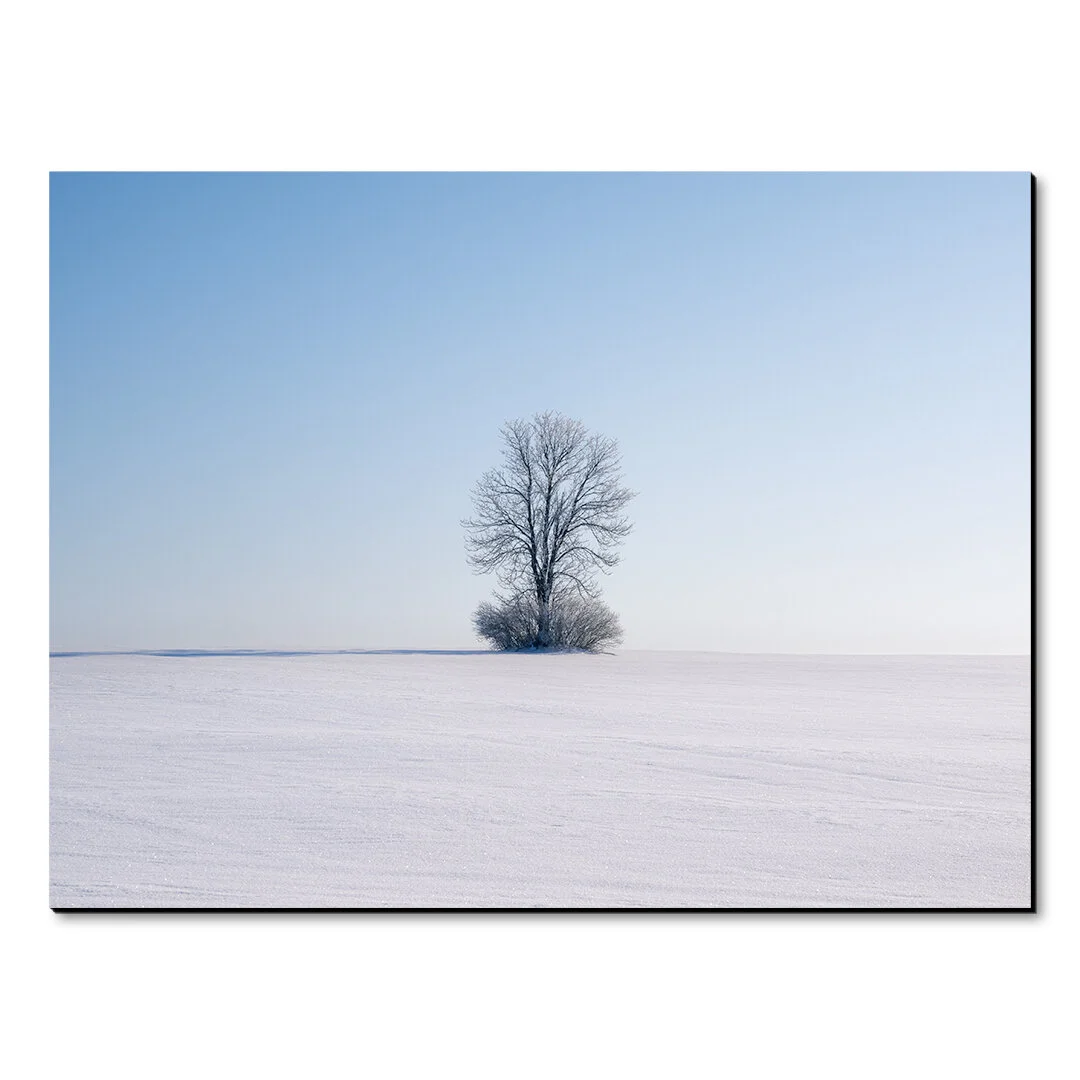 Acrylic photo print…