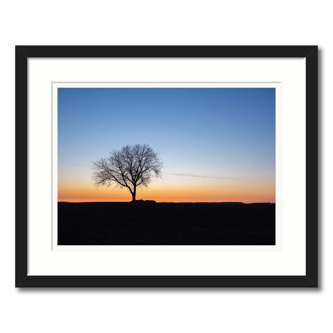 P296-pp-s50-b-50x40.jpg