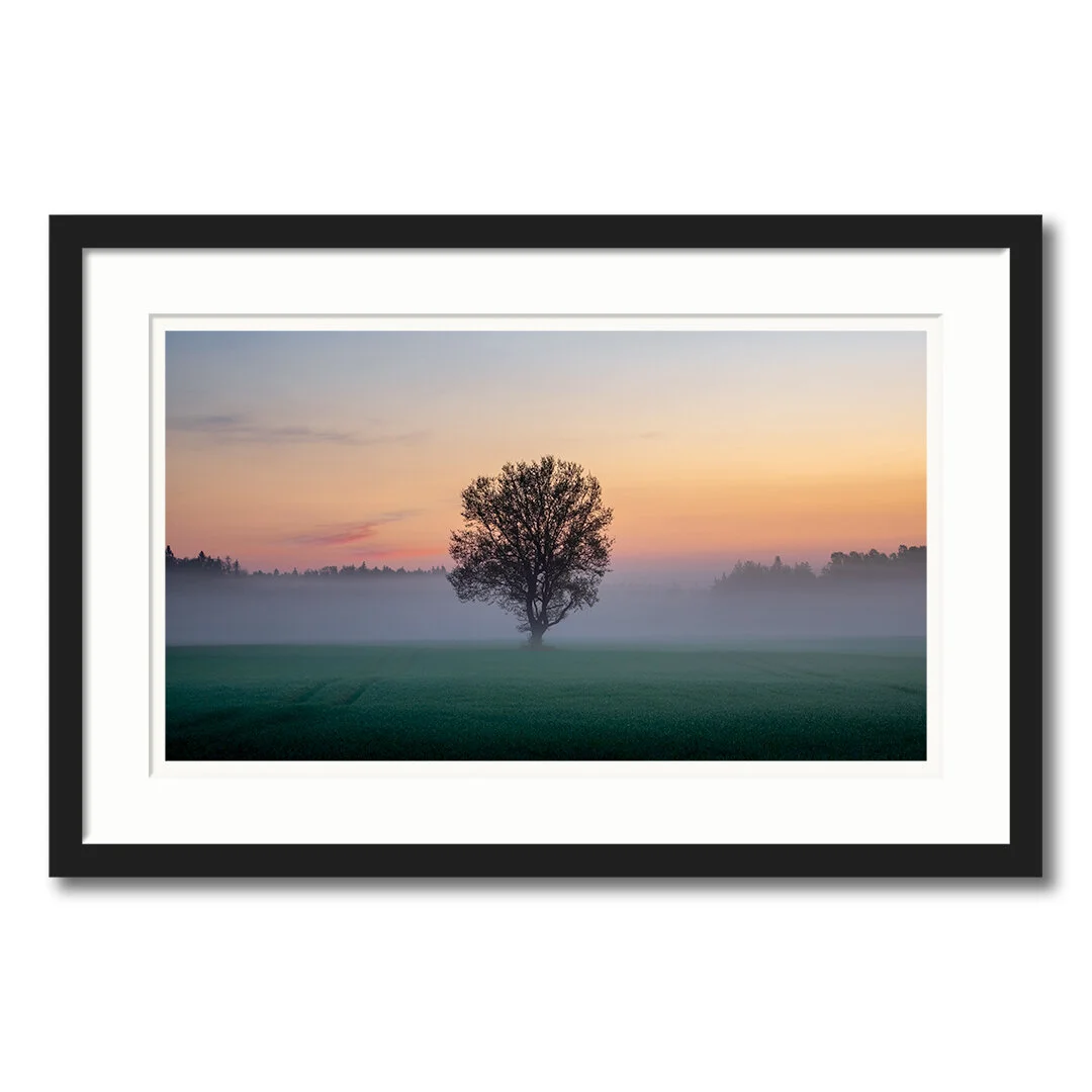 Foggy morning