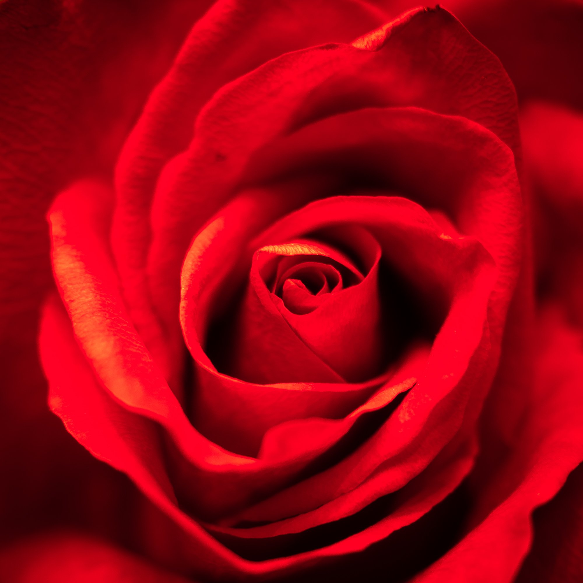 gp10_f001g.jpg