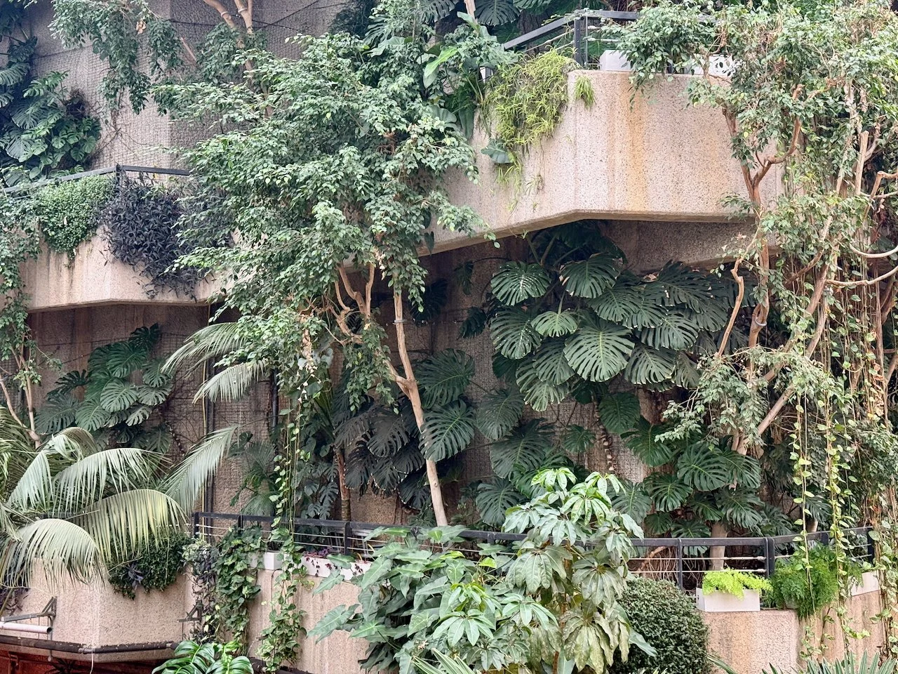 Nature meets brutalism at the Barbican Conservatory