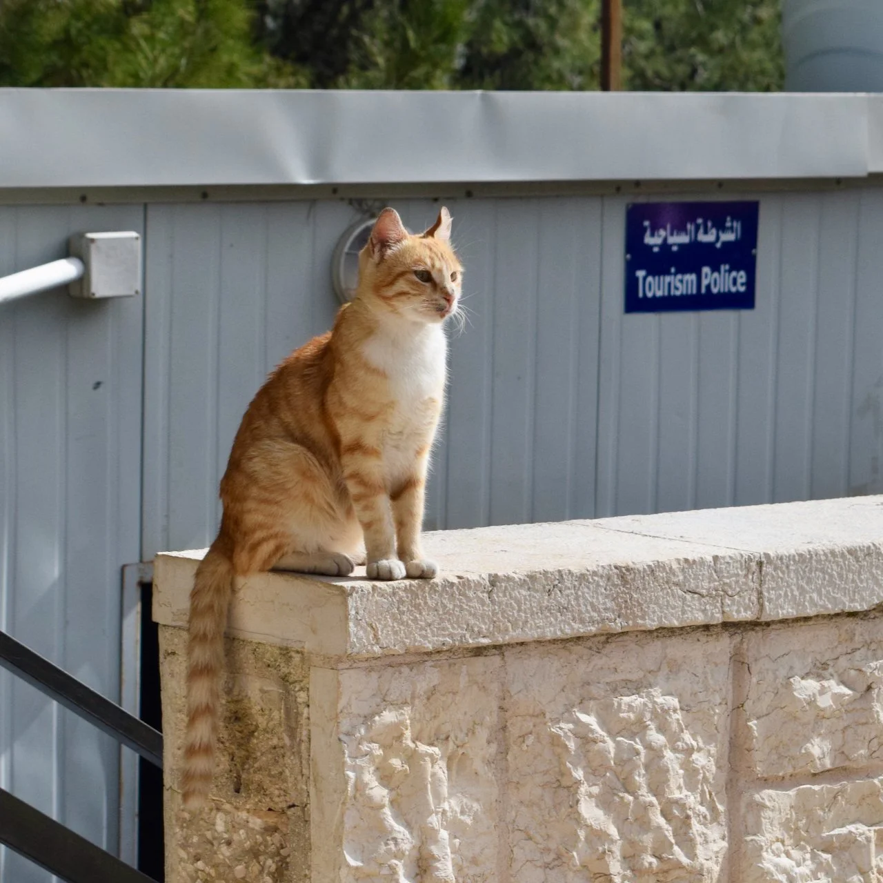 DSC_0052.jpeg