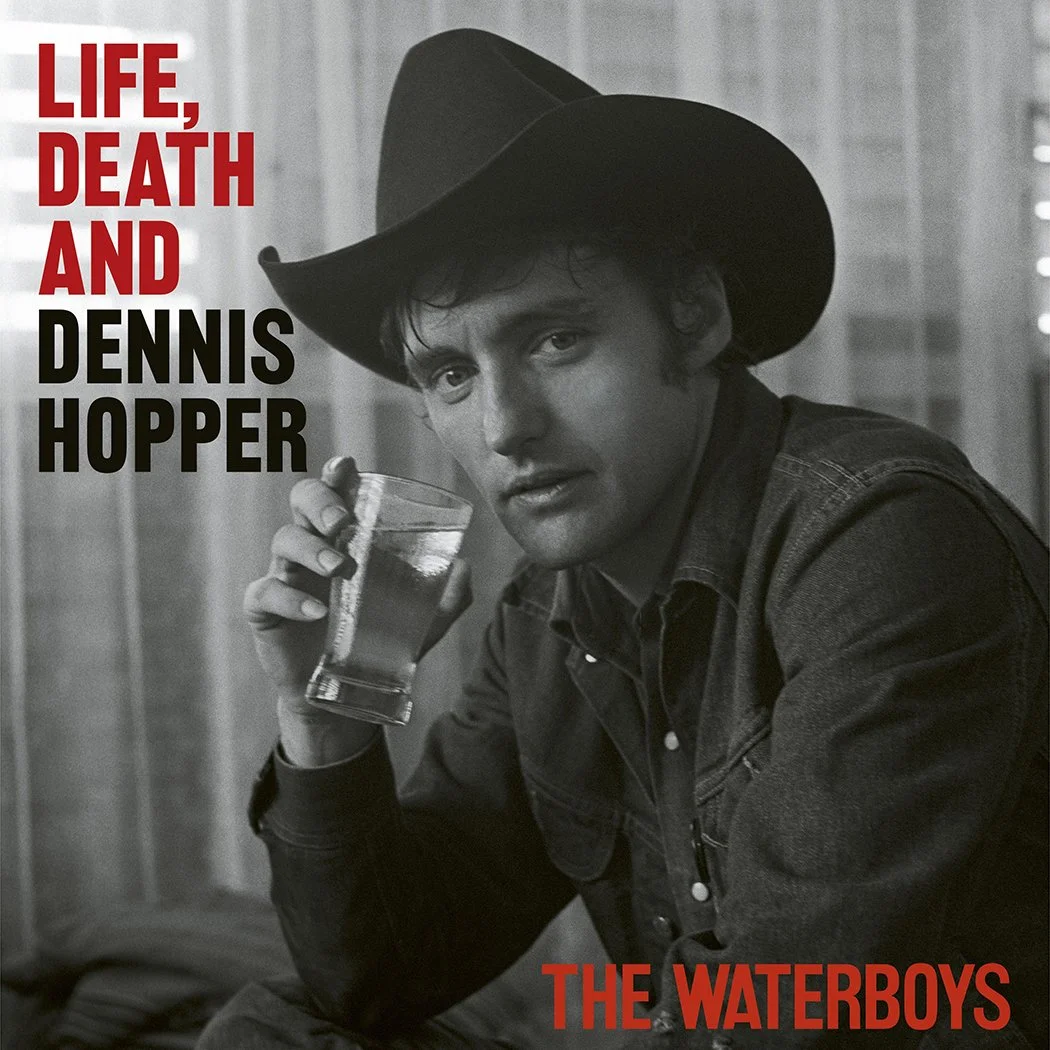 The Waterboys – Life, Death and Dennis Hopper Double LP, sealed | £10 | eBay, 2026 | 4/5