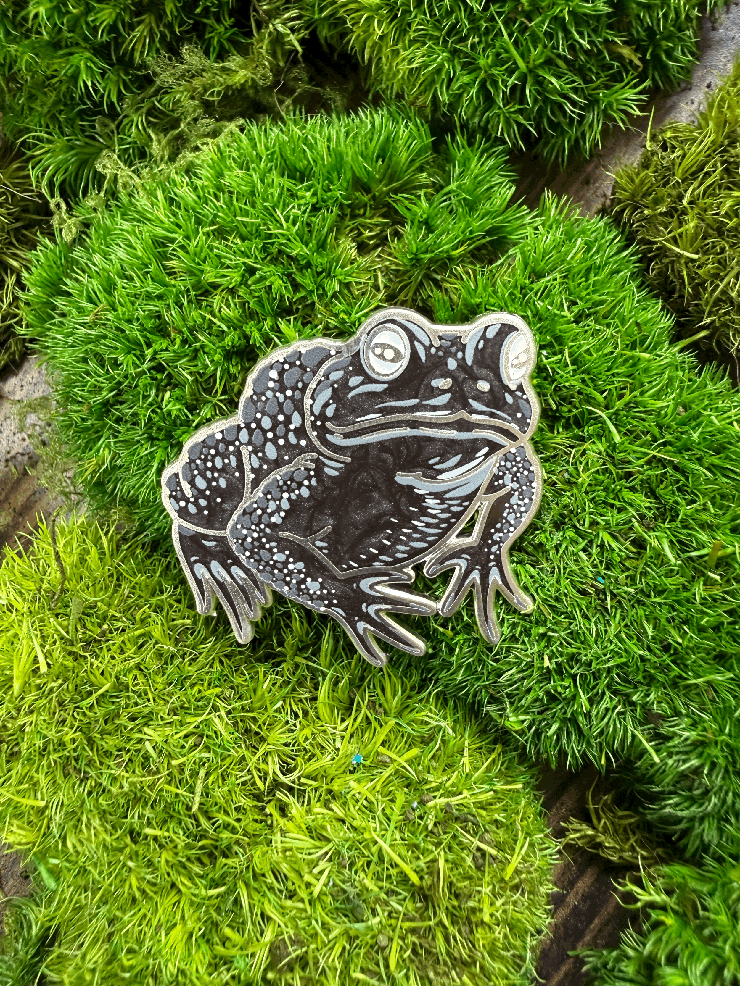 Black Frog 1.5" Pin