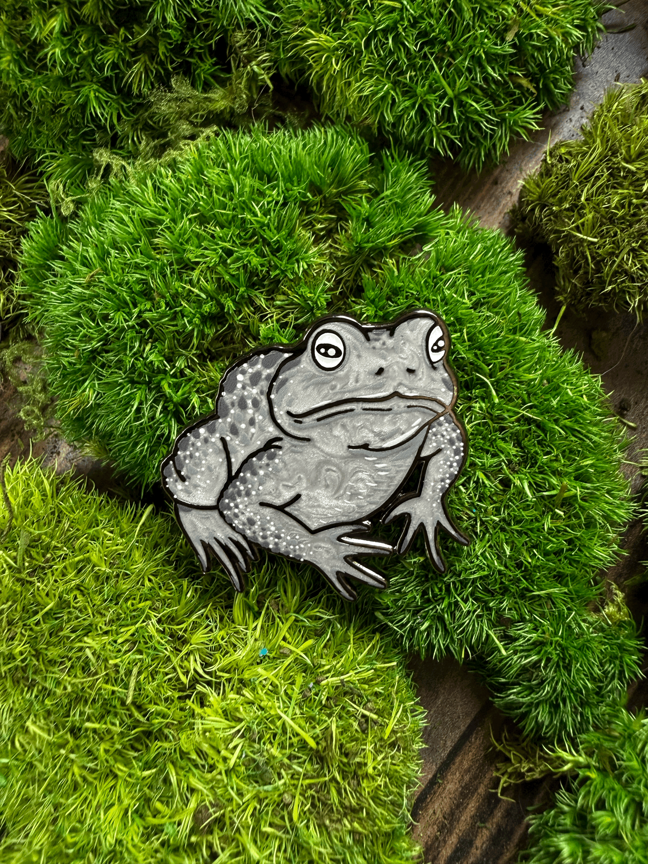 Silver Frog 1.5" Pin