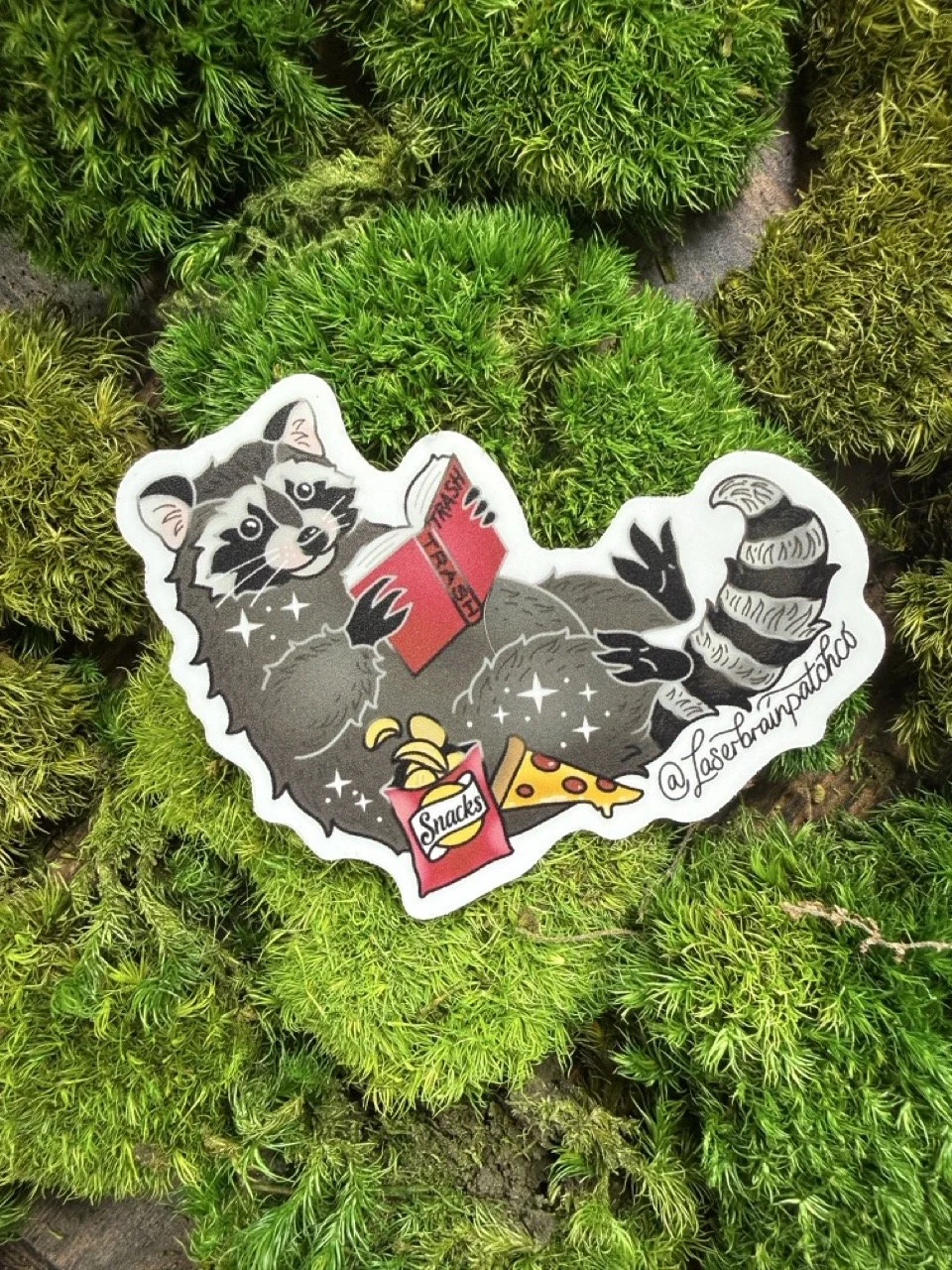 Snacks Raccoon Sticker