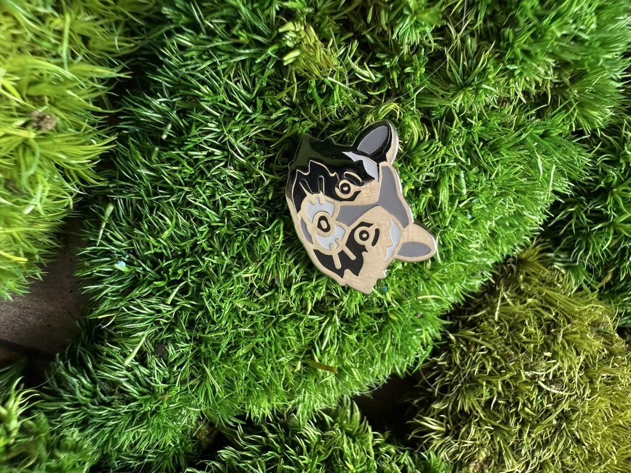 Small Raccoon Head Pin