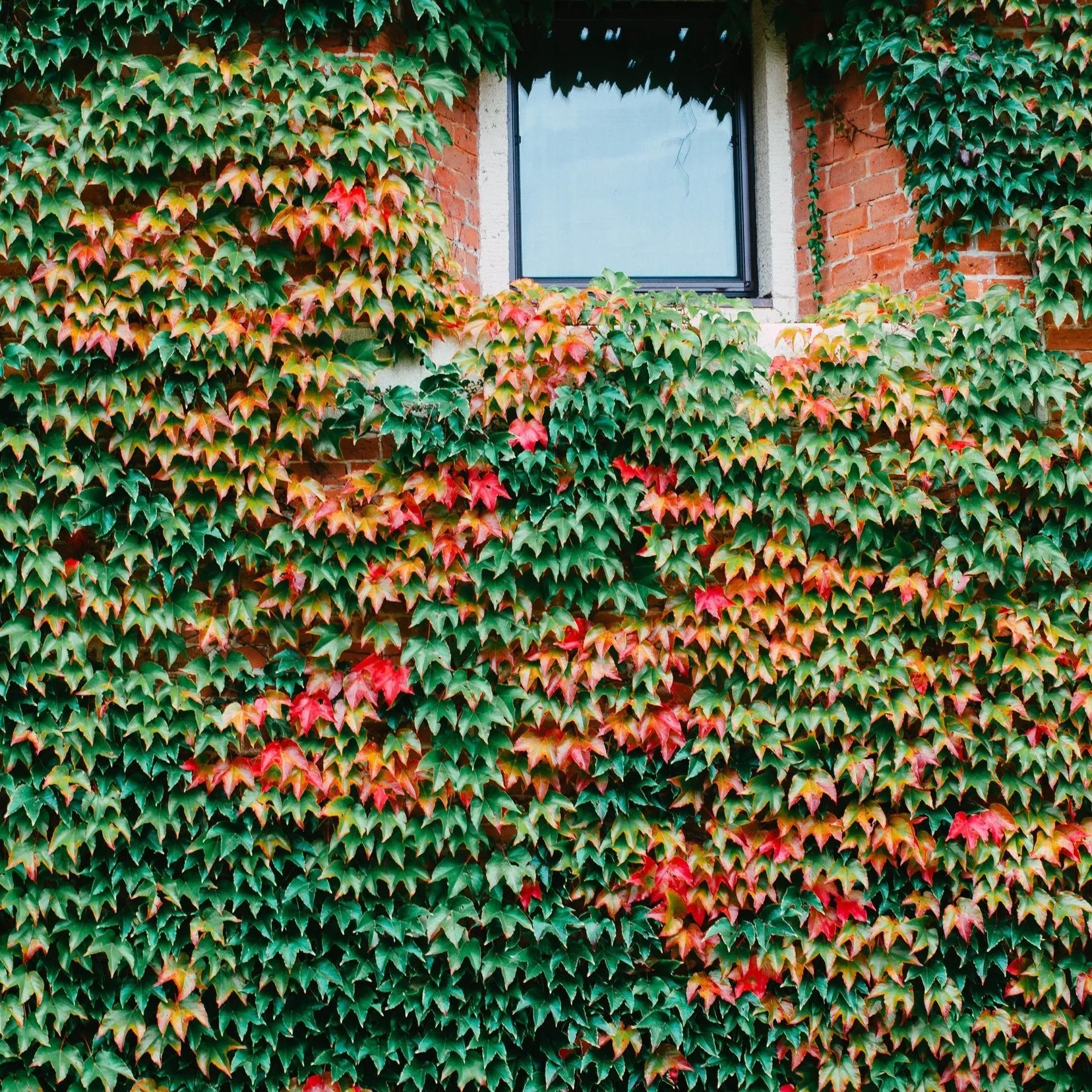 Consciousness, Divine Mind