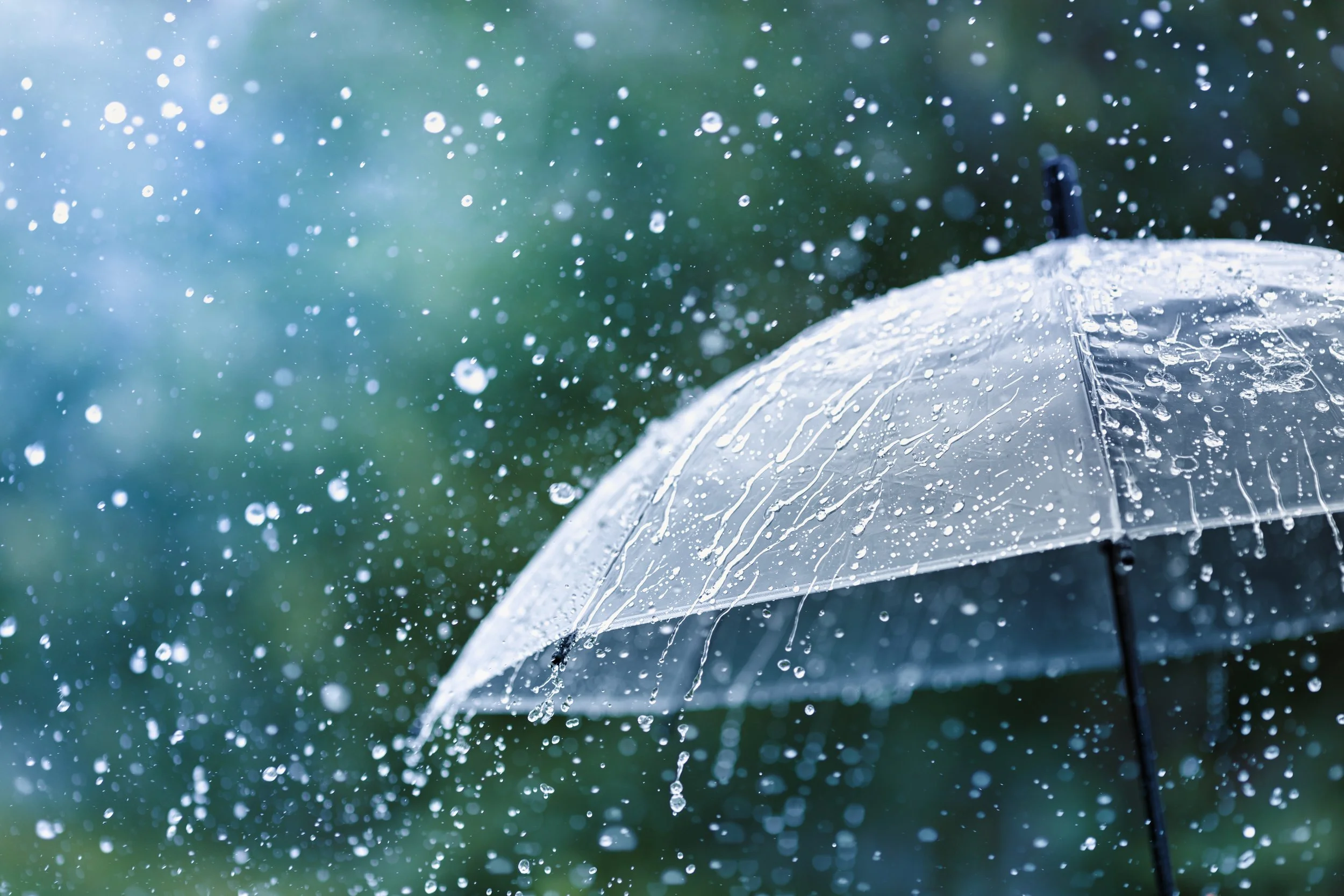 Profiling the Narcissist: Reading the Forecast to Stay Two Steps Ahead