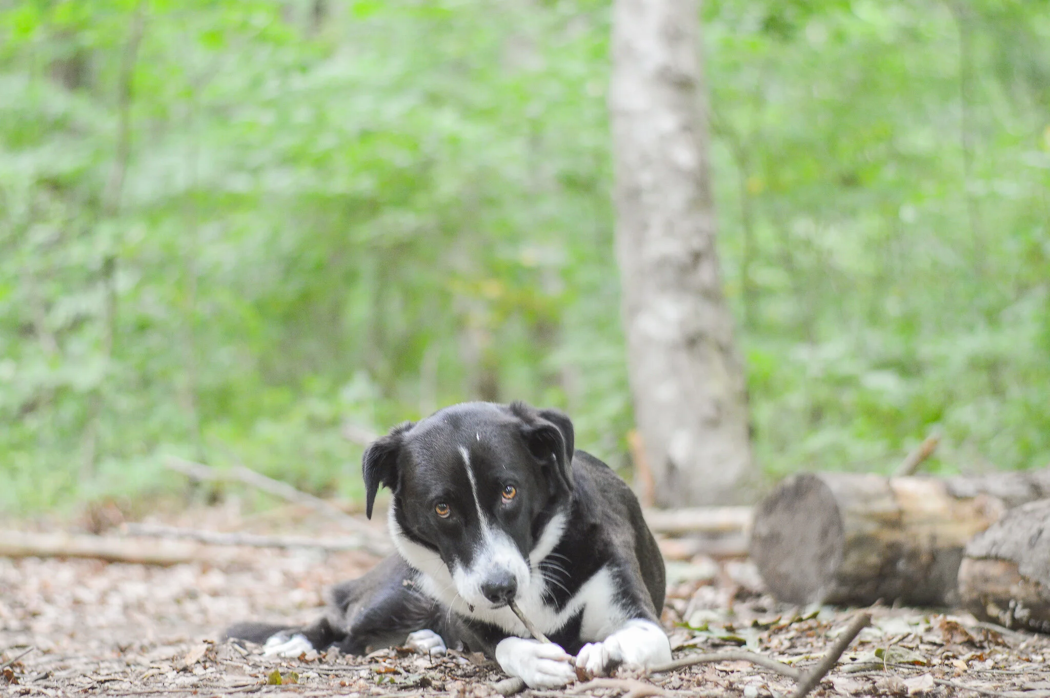 DSC_0117.jpg