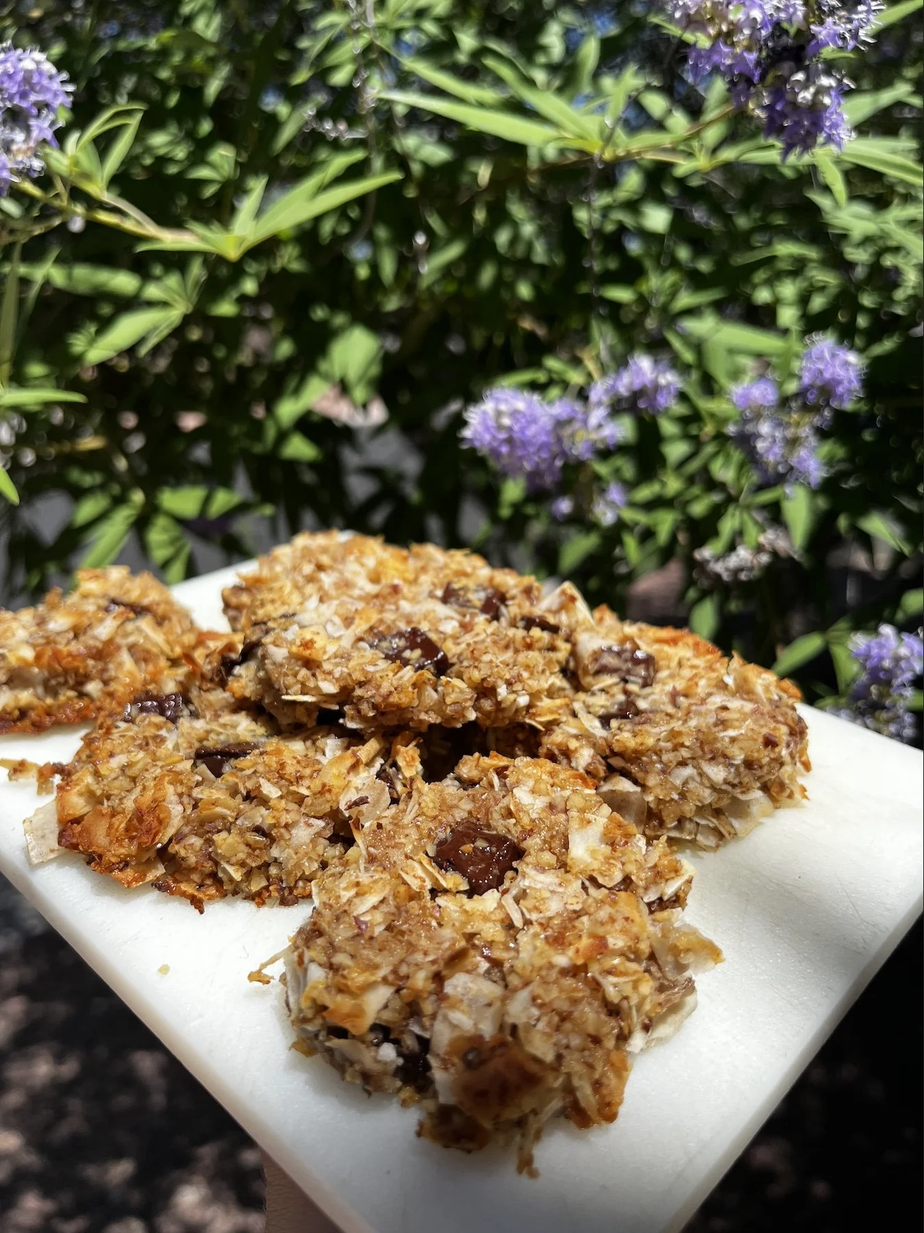 Coconut Walnut Breakfast Cookies 