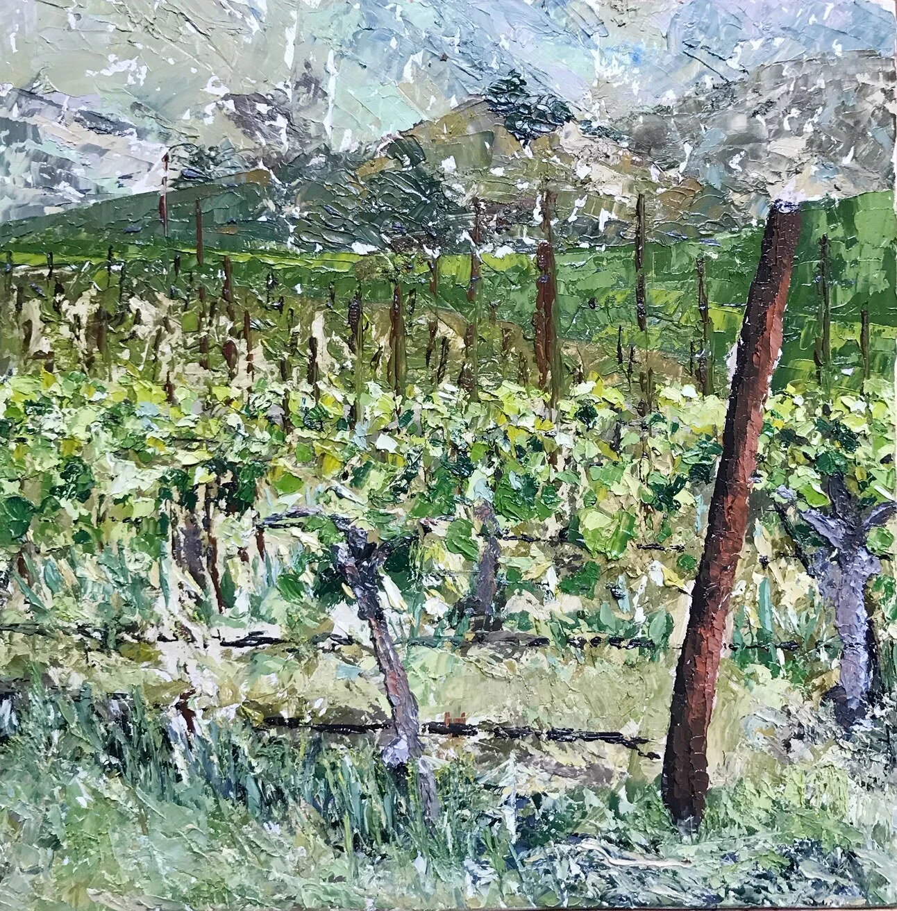 ** The Vineyard :: 2019
(12¨ x 12¨ oil on panel)
