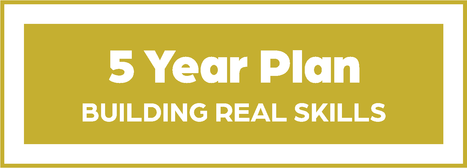 Text graphic promoting a 5-year plan for building real skills, with a gold border and gold background.