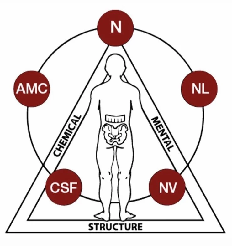 Our Services — Kin Health & Wellness