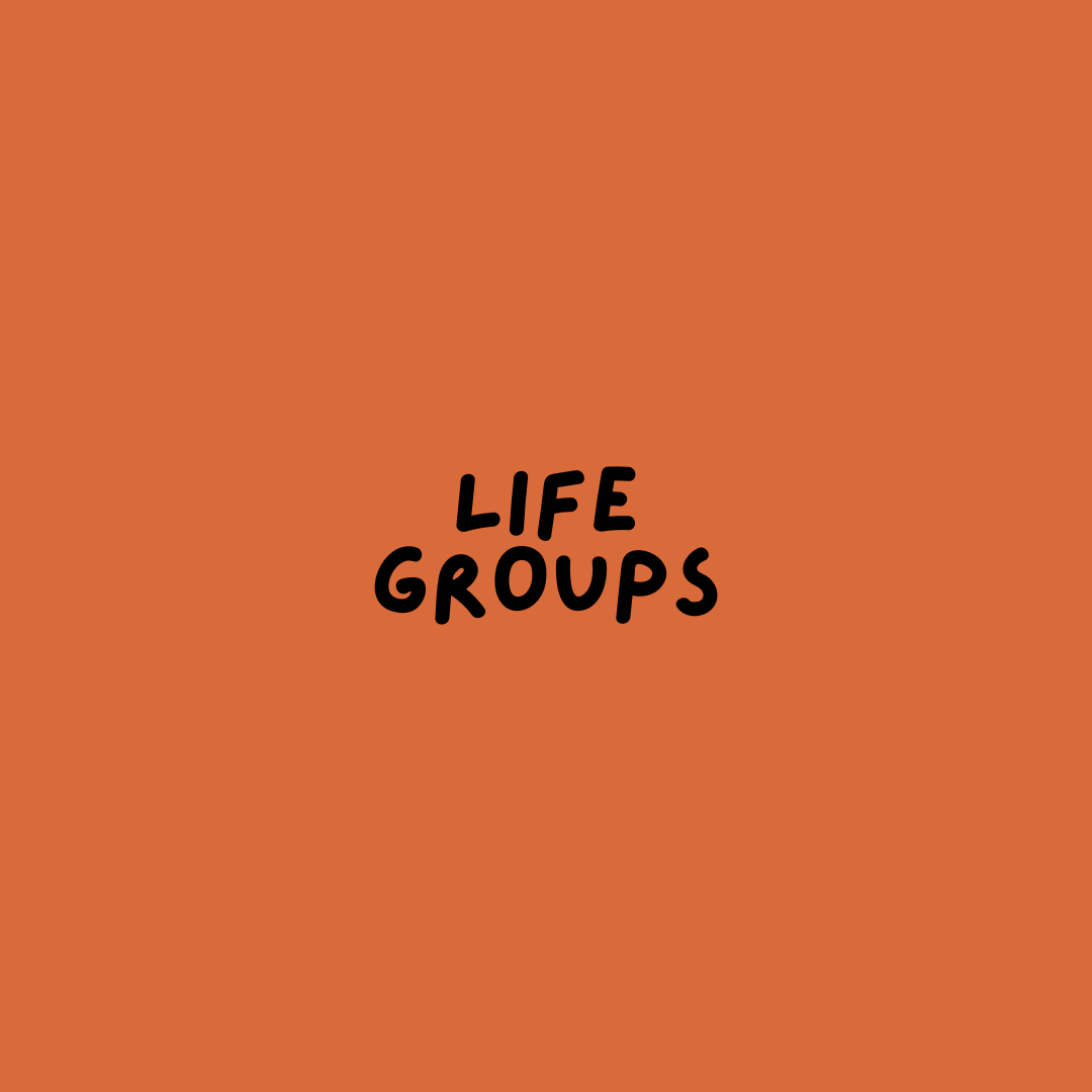 Life Groups Begin