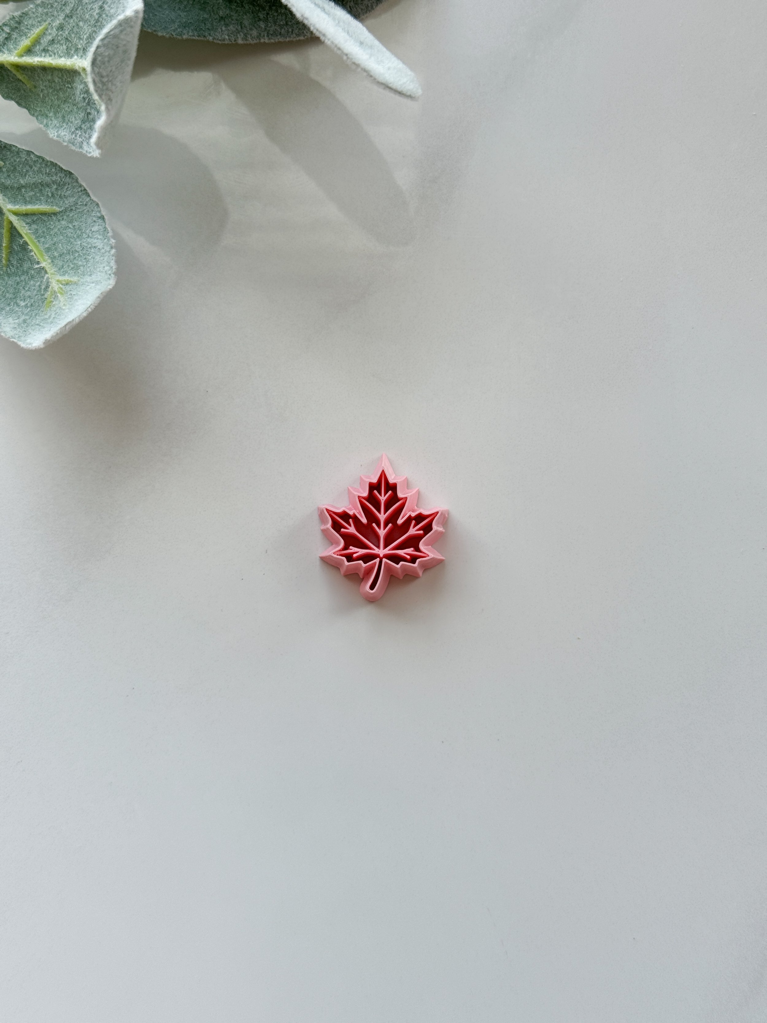 Detailed Maple Leaf