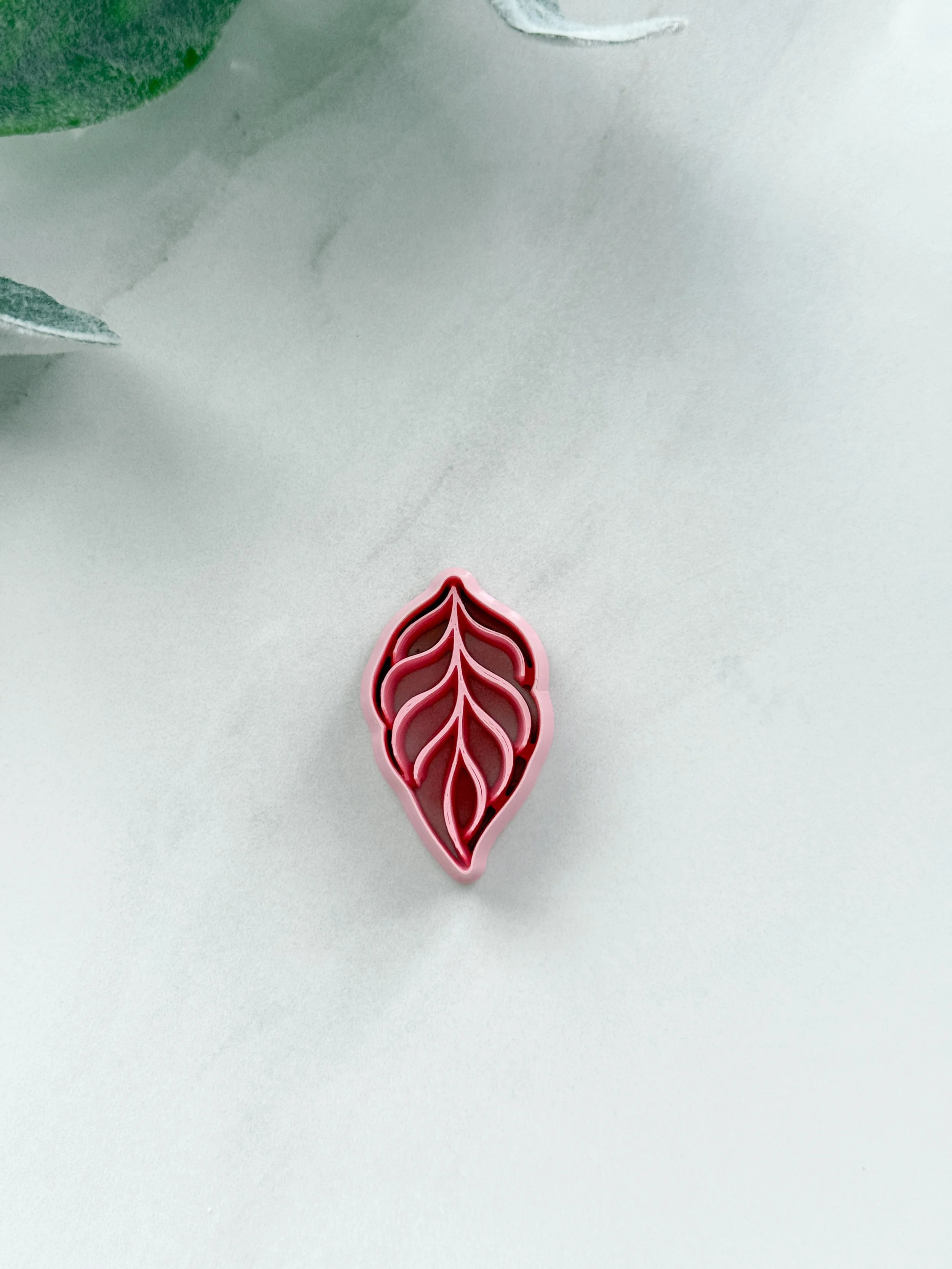 Veined Leaf