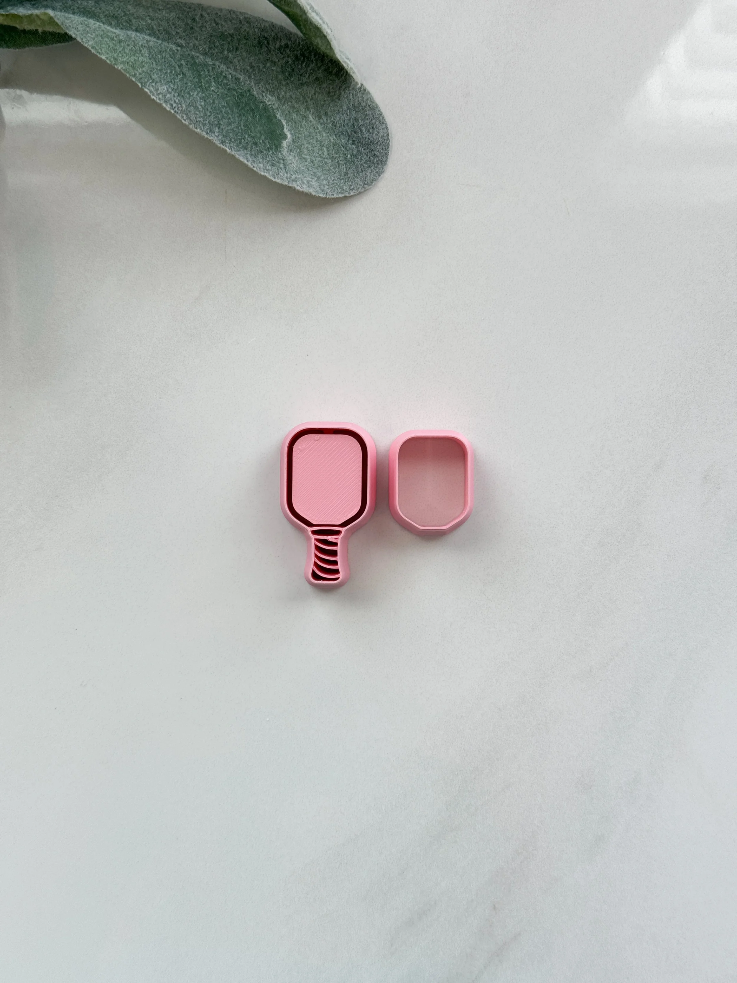 Pickleball Paddle Set