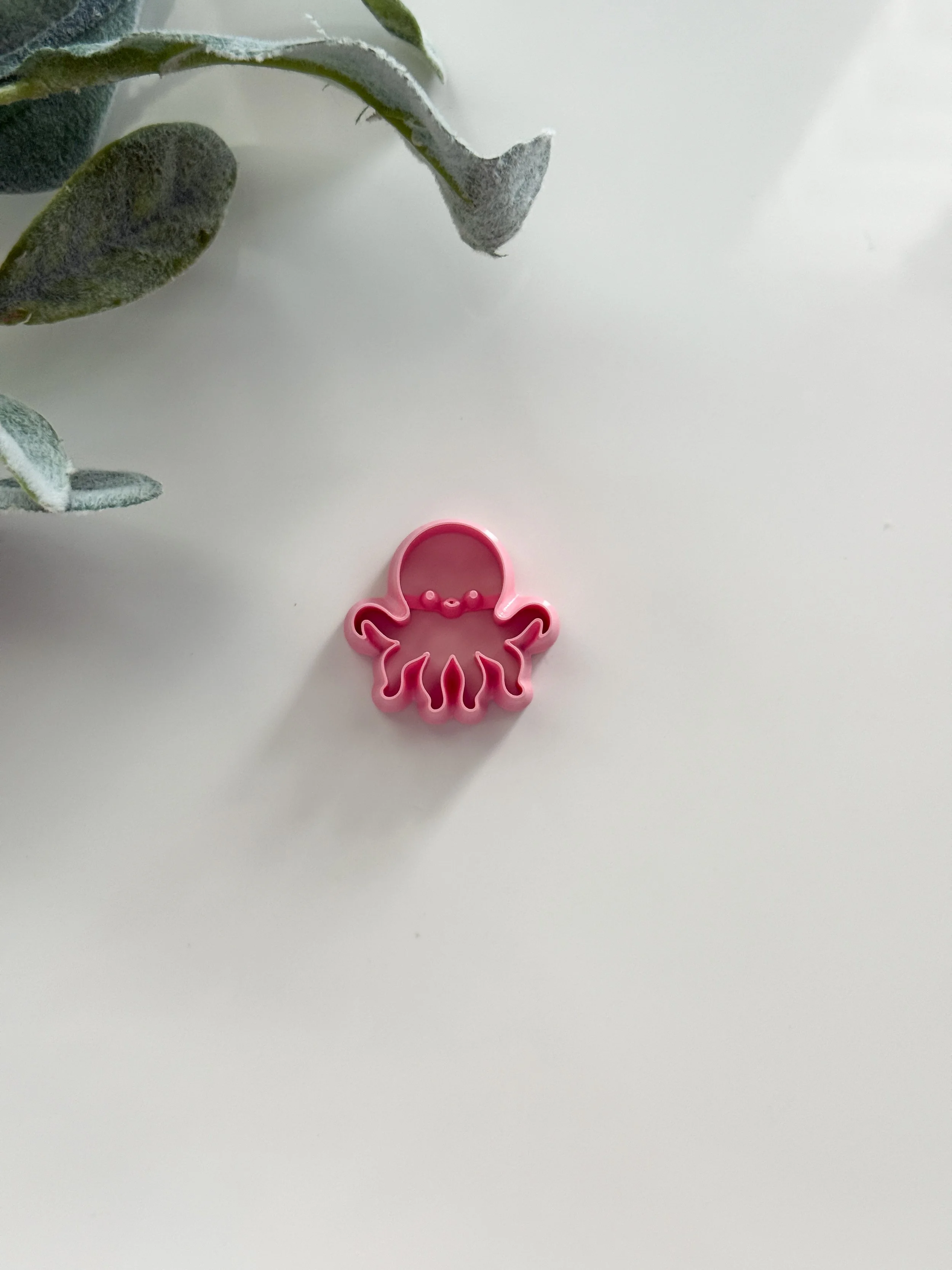 Octopus
