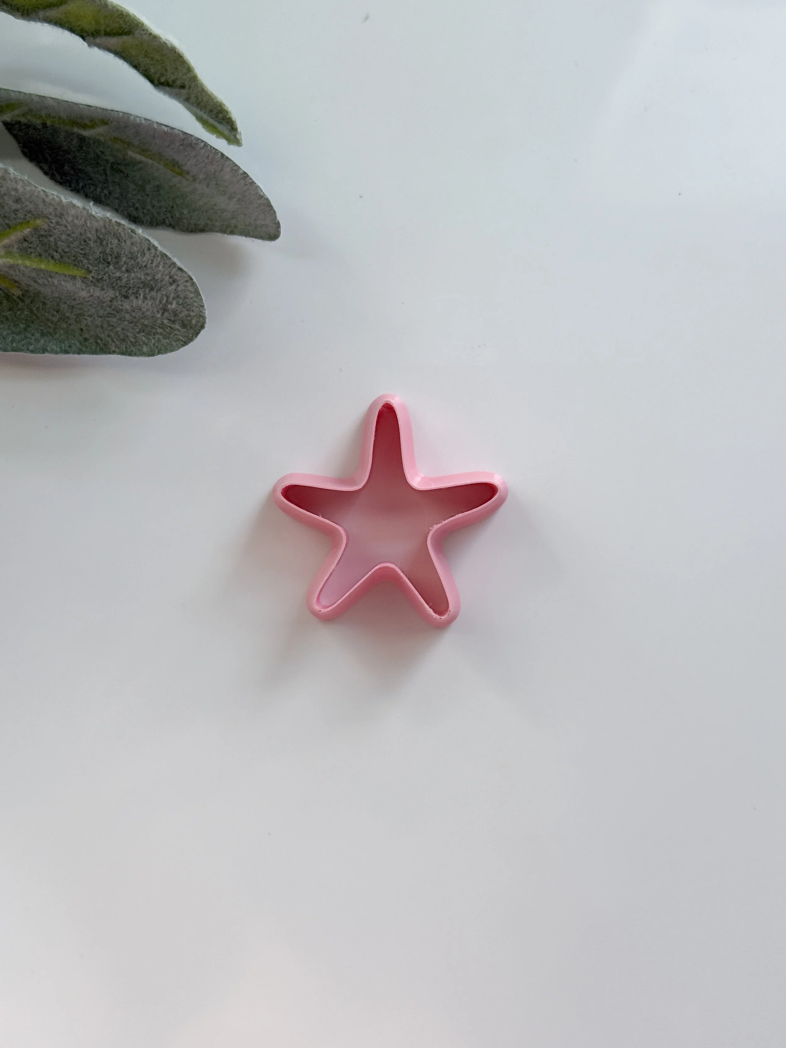 Large Blank Starfish