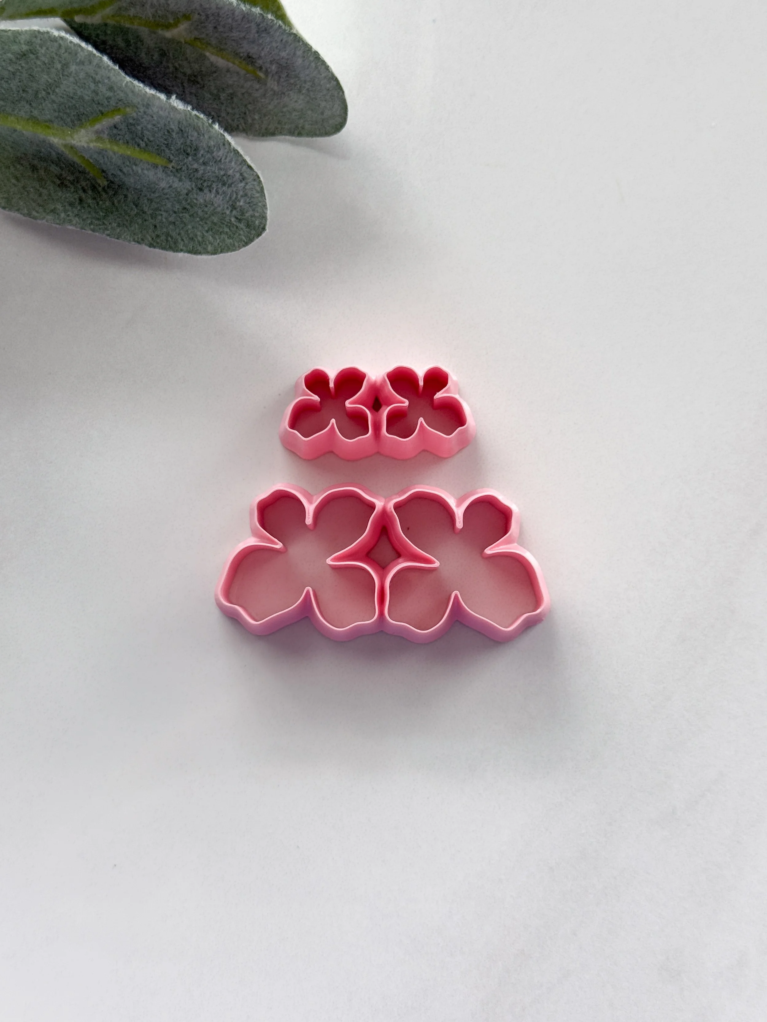 Organic Dogwood Flower
