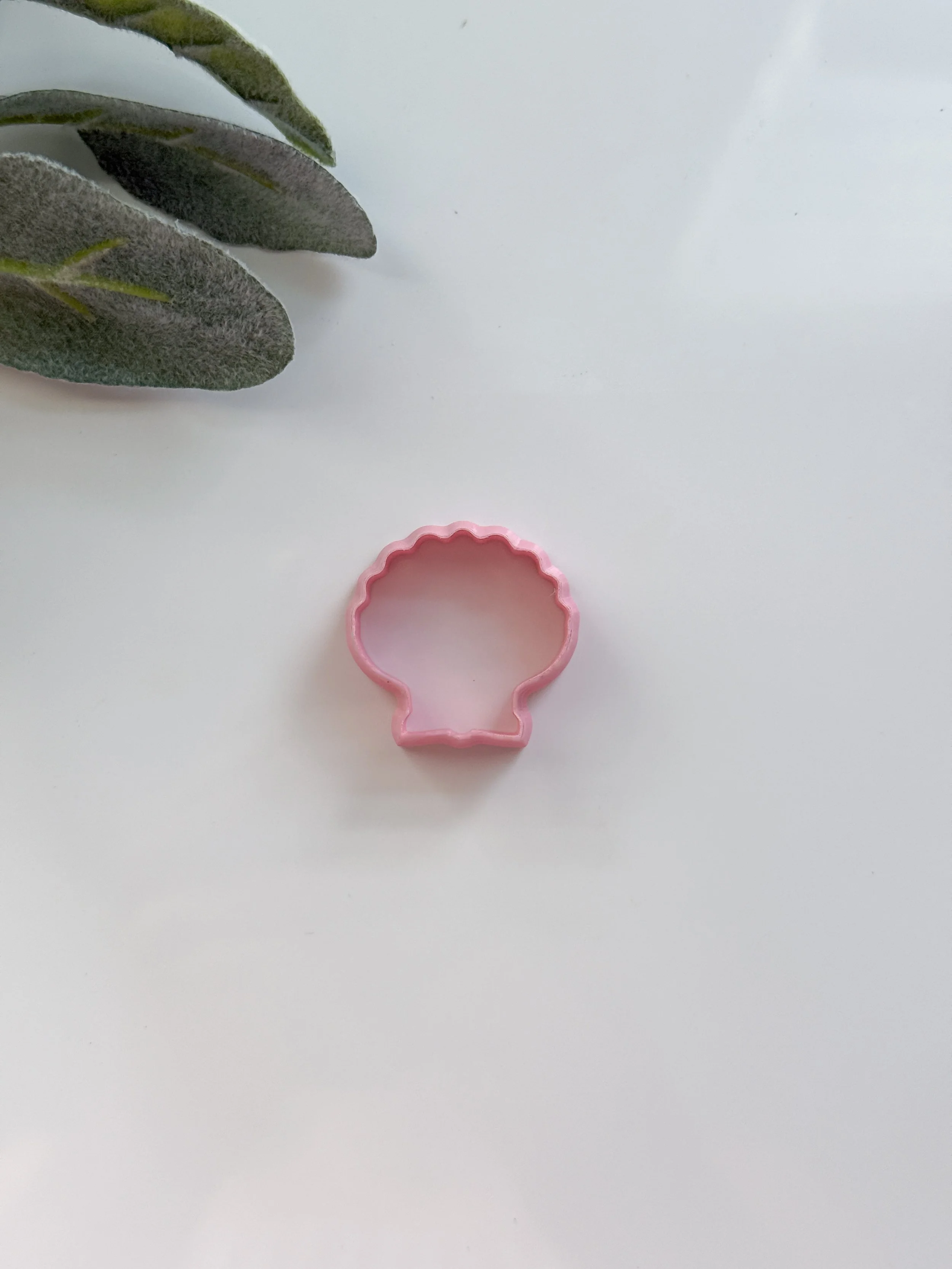 Blank Shell