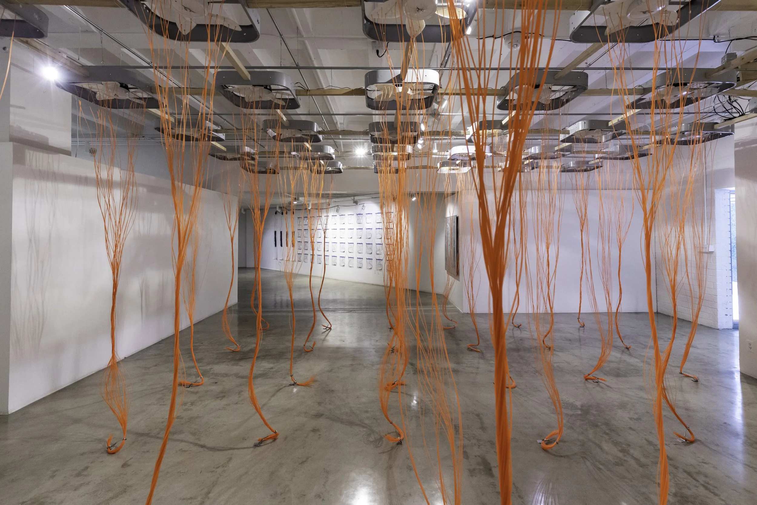 2021.8.7 RHS Replication-1774.jpg