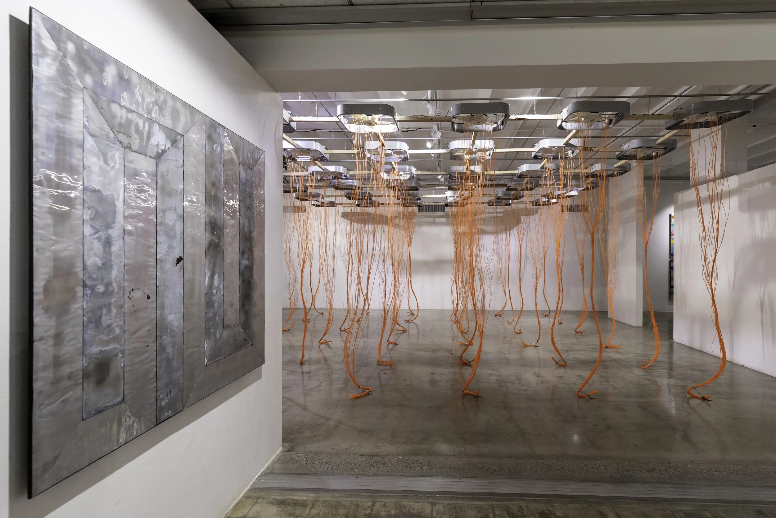 2021.8.7 RHS Replication-1736.jpg