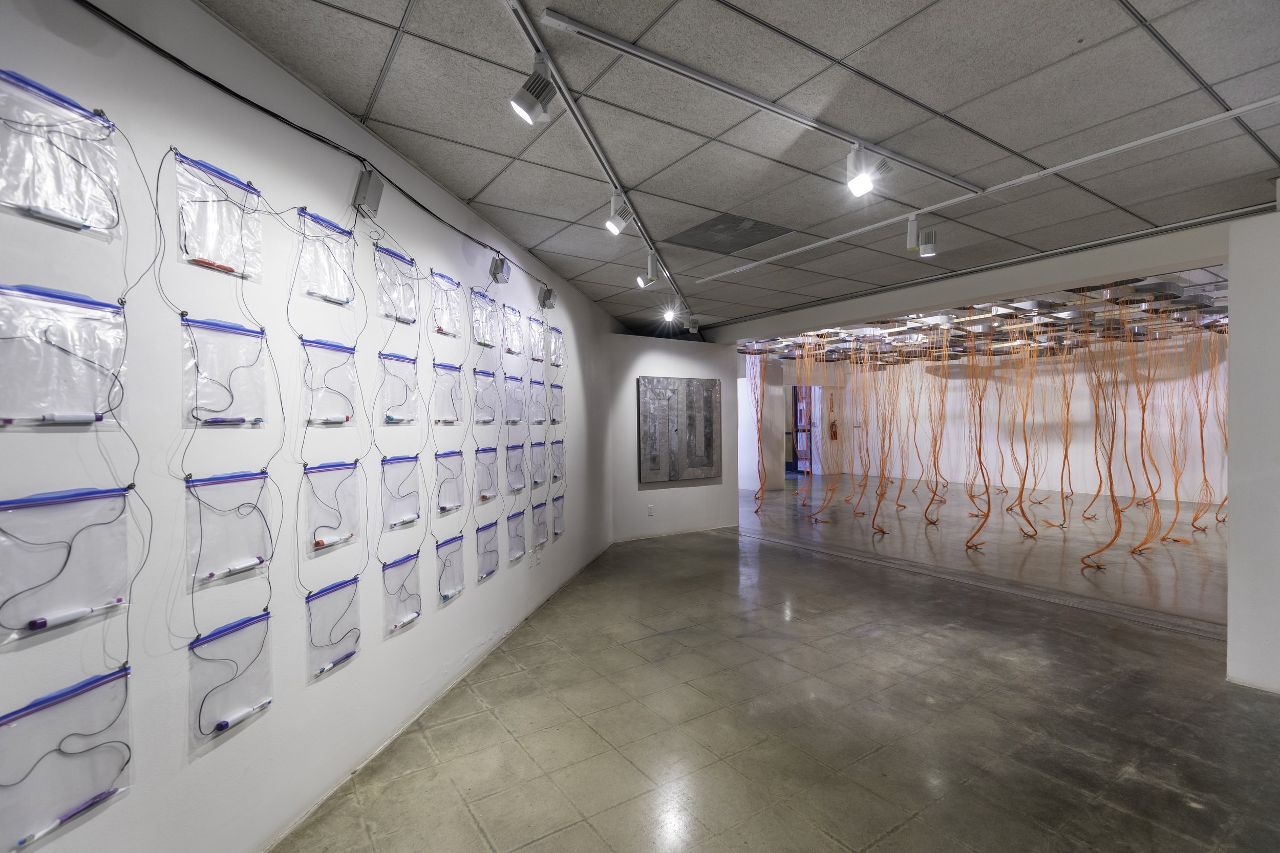 2021.8.7 RHS Replication-1797.jpg