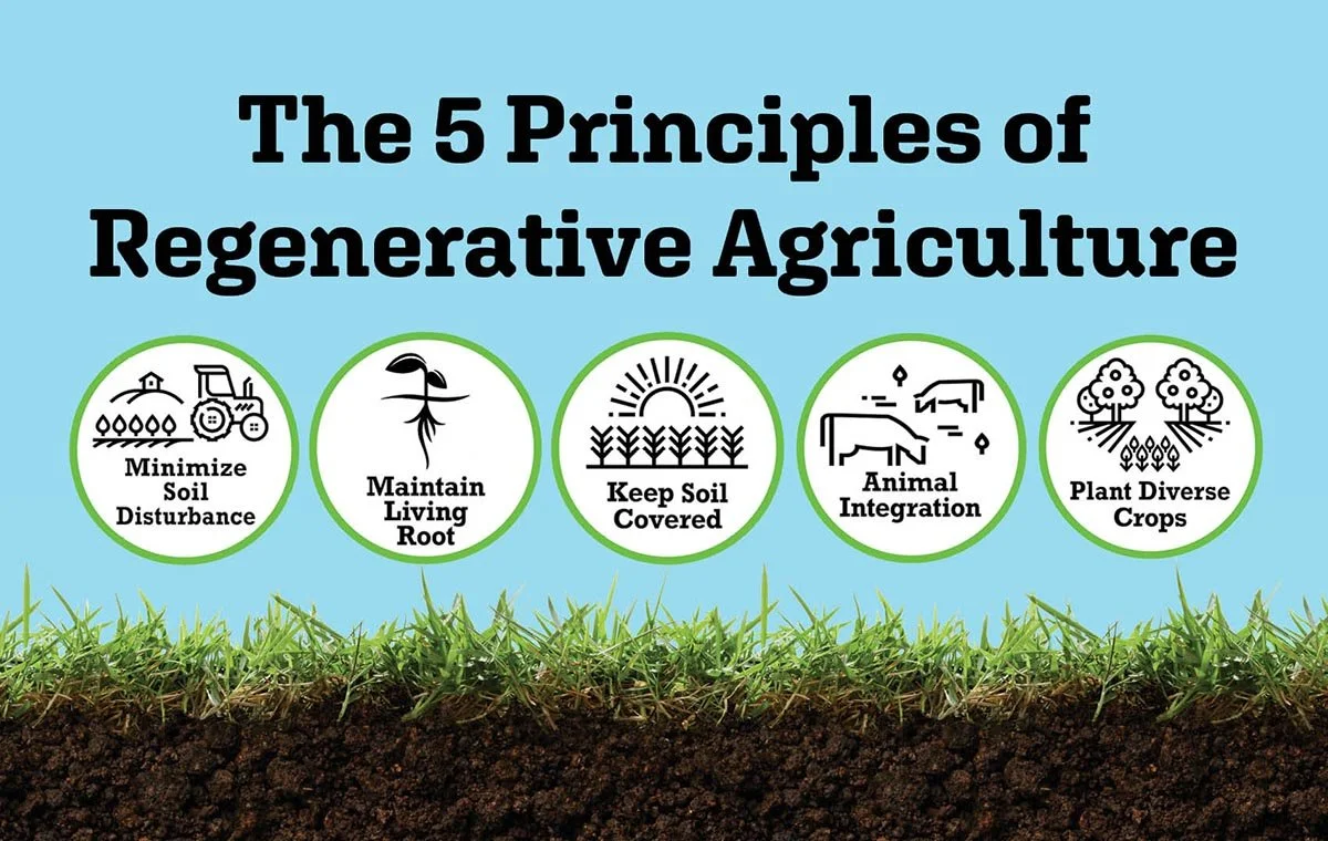 What is Regenerative AG? — USA Regenerative Agricultural Alliance, INC.