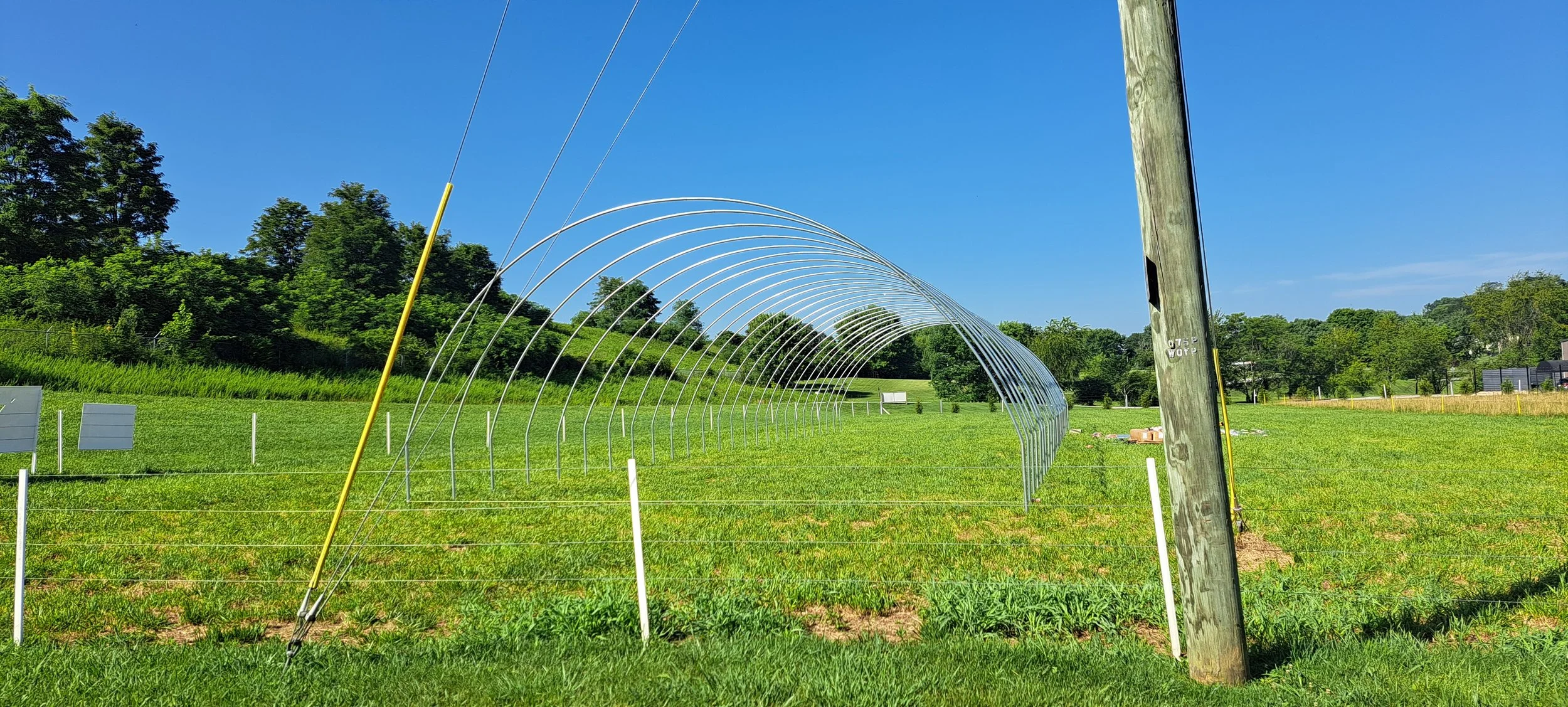 Regenerative Farming My Greenelife Greenhouse Regenerative Farming Sustainable Life in the Farm