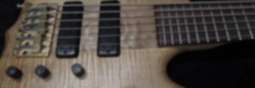 Bass+Pic.jpg