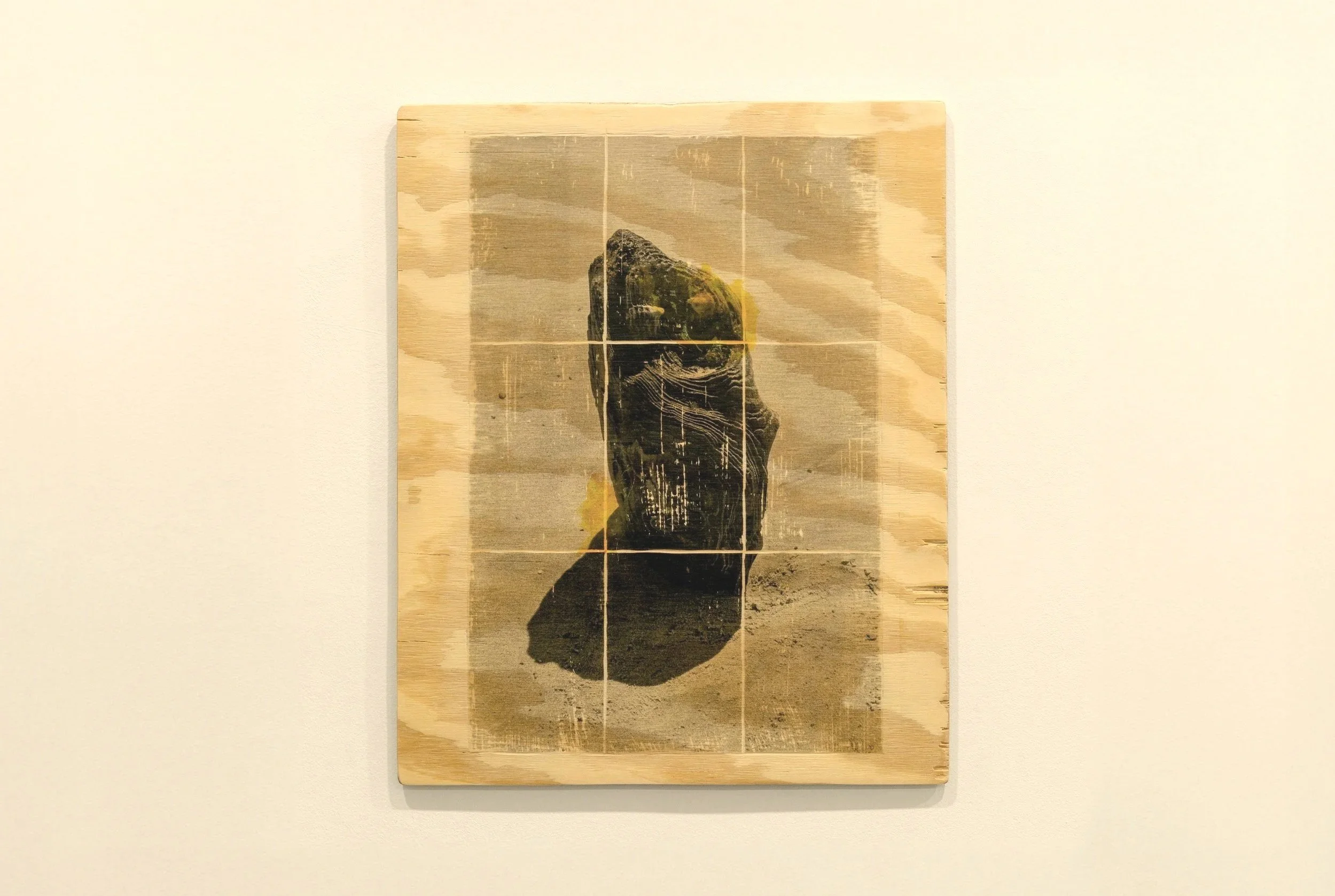 "Midday Form: Stage IV", Photo Transfer on Wood, 16" x 20", 2025 ---- Exhibited at Westlab + Gallery [March 16 - May 17 2025]