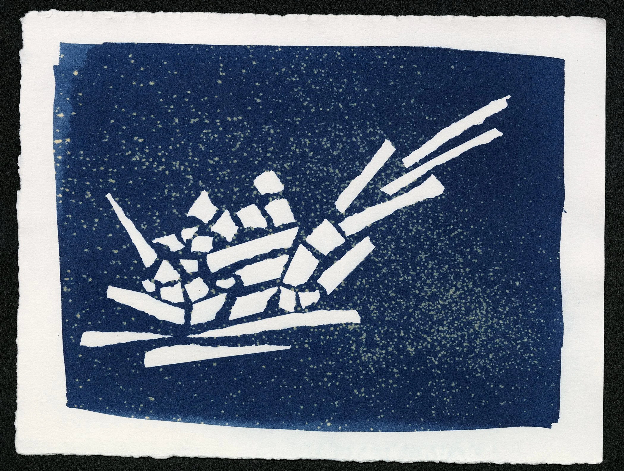 2025 1119_Raine_cyanotype (10) copy.jpg