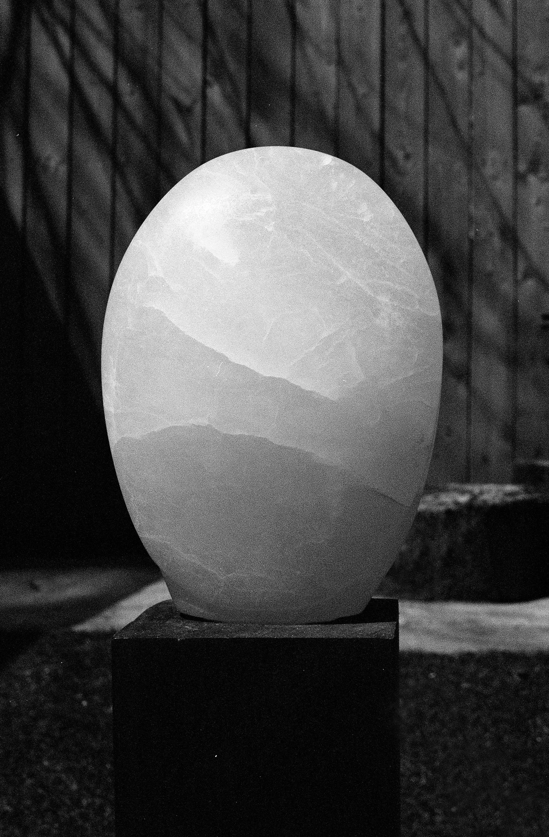 2026 0413_JUNIPER_13 copy.jpg