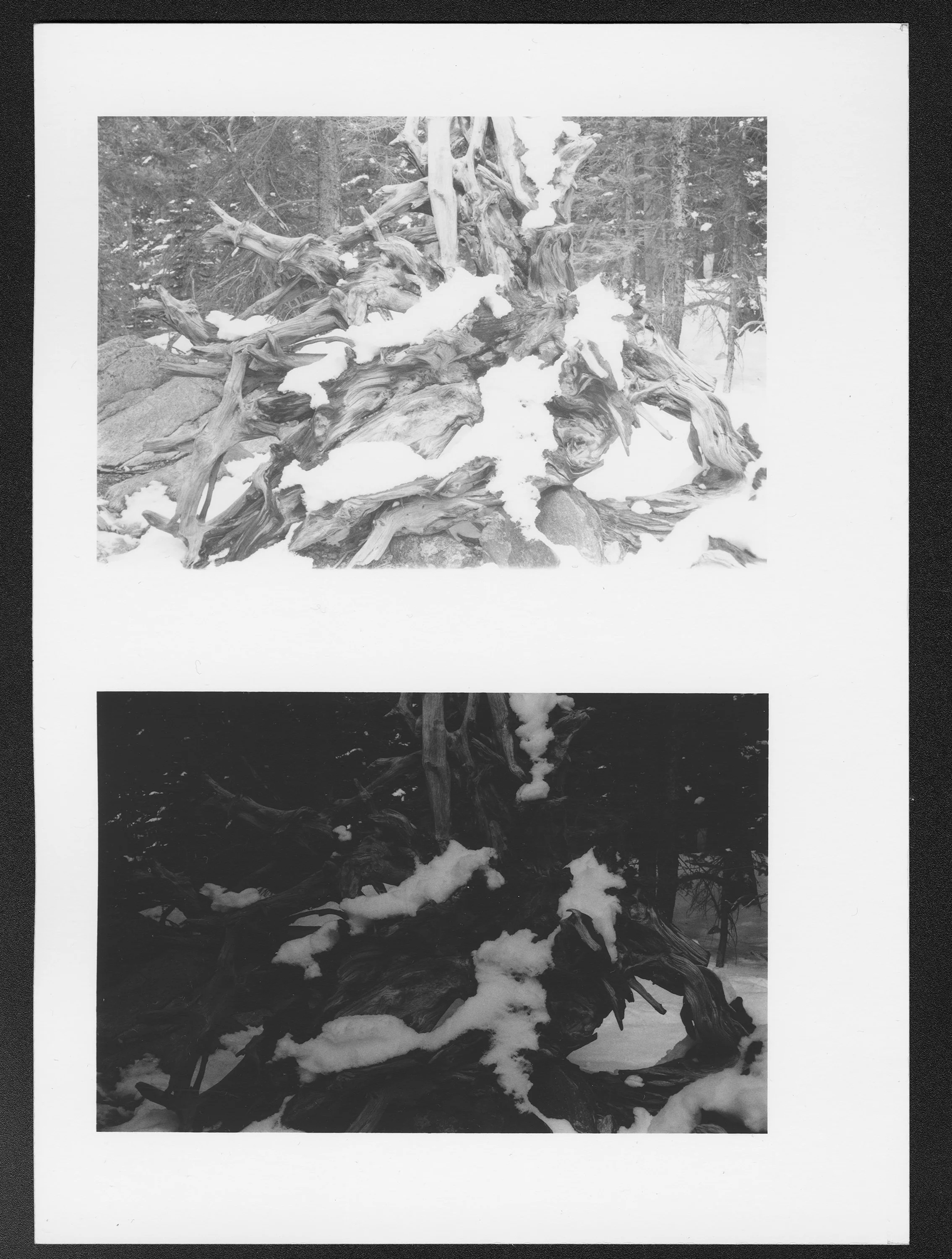 Before/After Blizzard, 5" x 7" Silver Gelatin Print, 2026