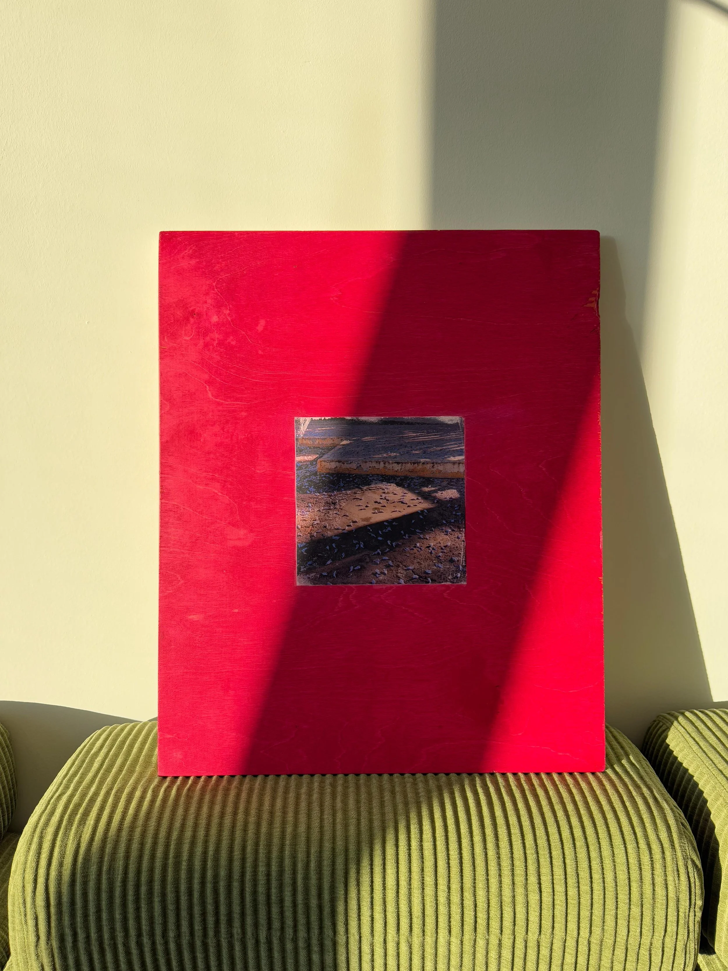 "Magenta Jacaranda", Photographic Transfer on Wood, 20" x 24", 2025 --- In collaboration with María Prieto and Pablo Íñigo Argüelles. Photo courtesy of María Prieto