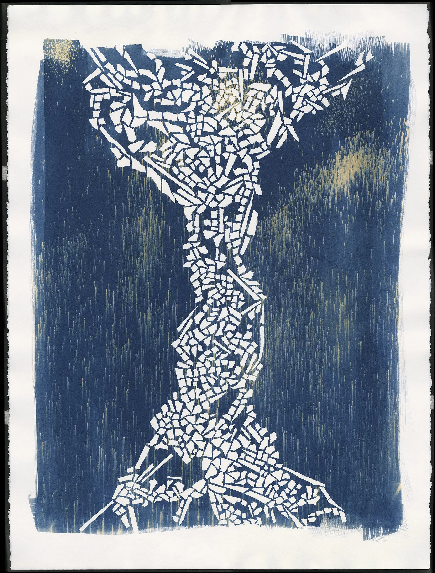 2026 0109_Raine Mosaic Cyanotype_Vertical_FULL_low res.jpg