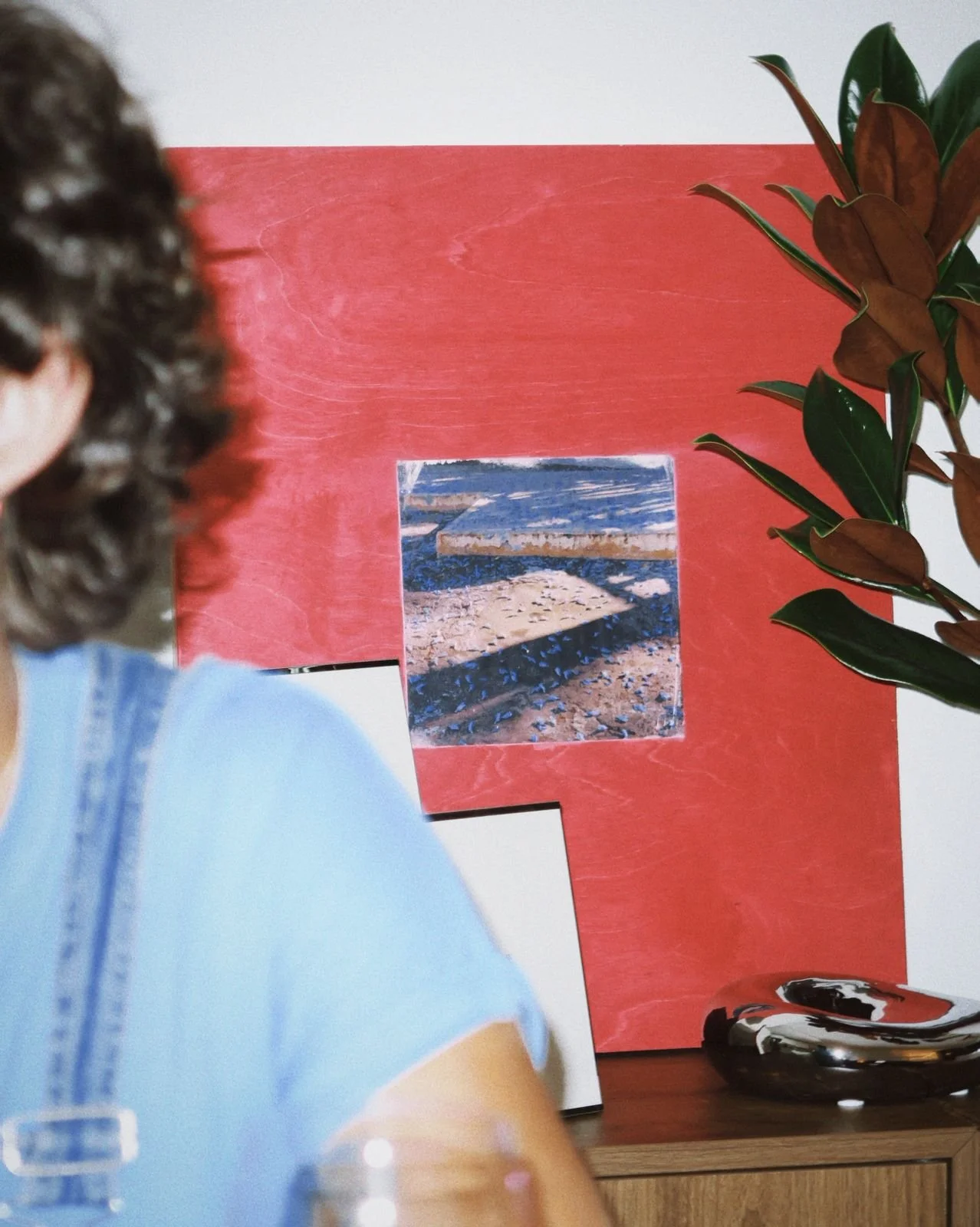 "Magenta Jacaranda", Photographic Transfer on Wood, 20" x 24", 2025 --- In collaboration with María Prieto and Pablo Íñigo Argüelles. Photo courtesy of Pablo Íñigo Argüelles