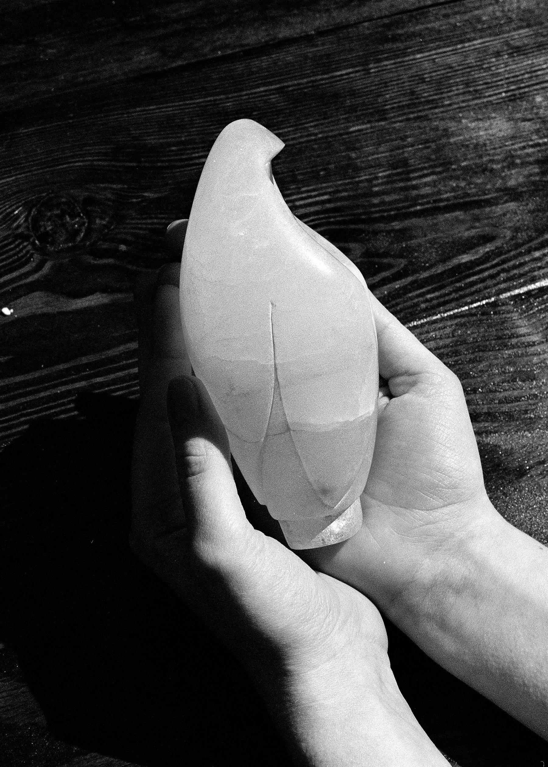 2026 0413_JUNIPER_09 copy.jpg