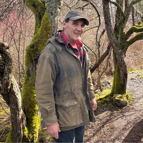 Bridge on troubled waters.png