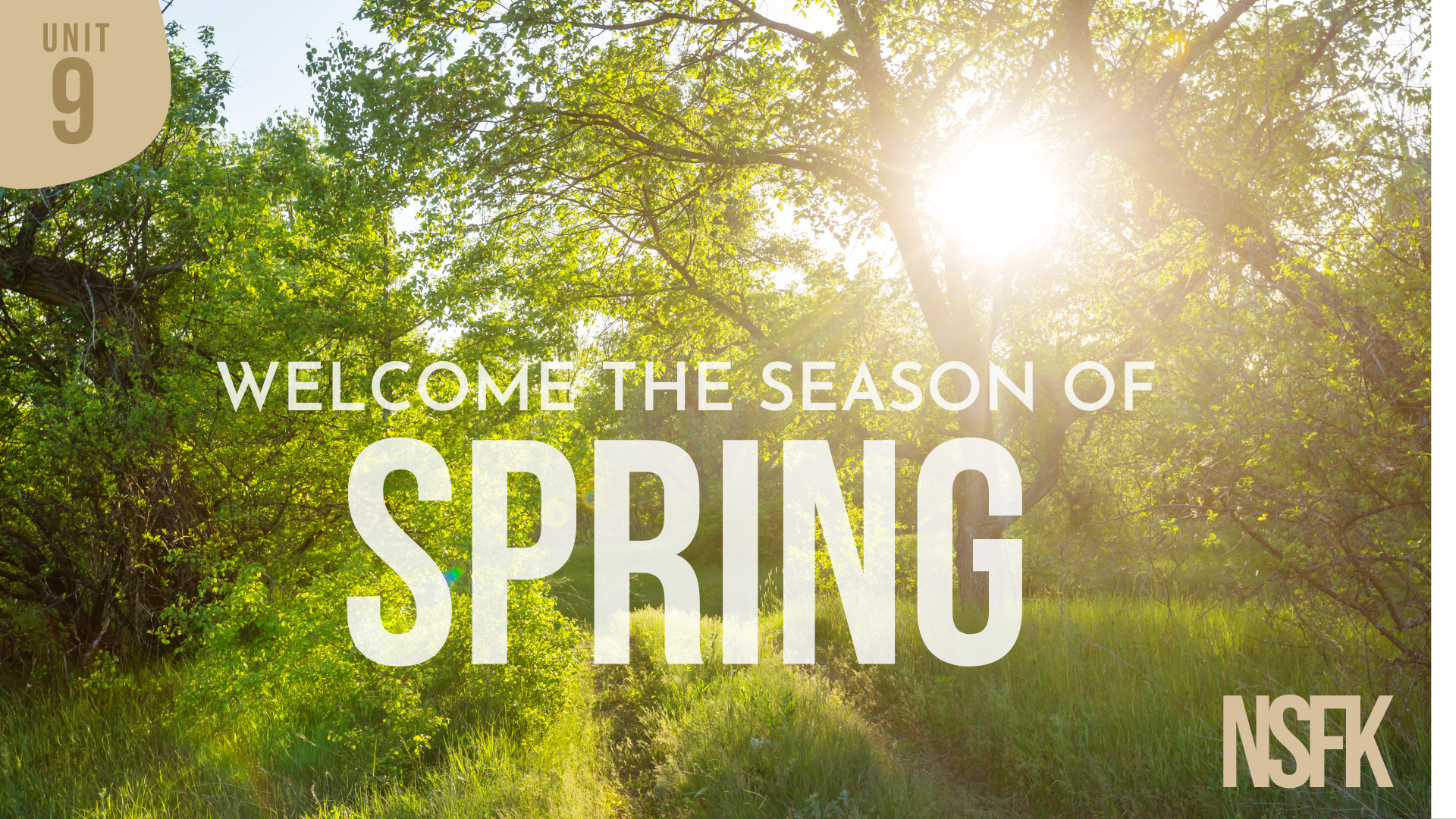 Week 9 - Spring Equinox