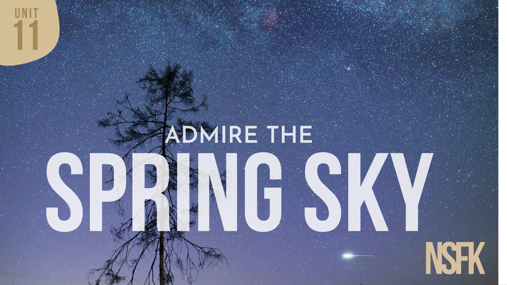 Week 11 - Spring Sky