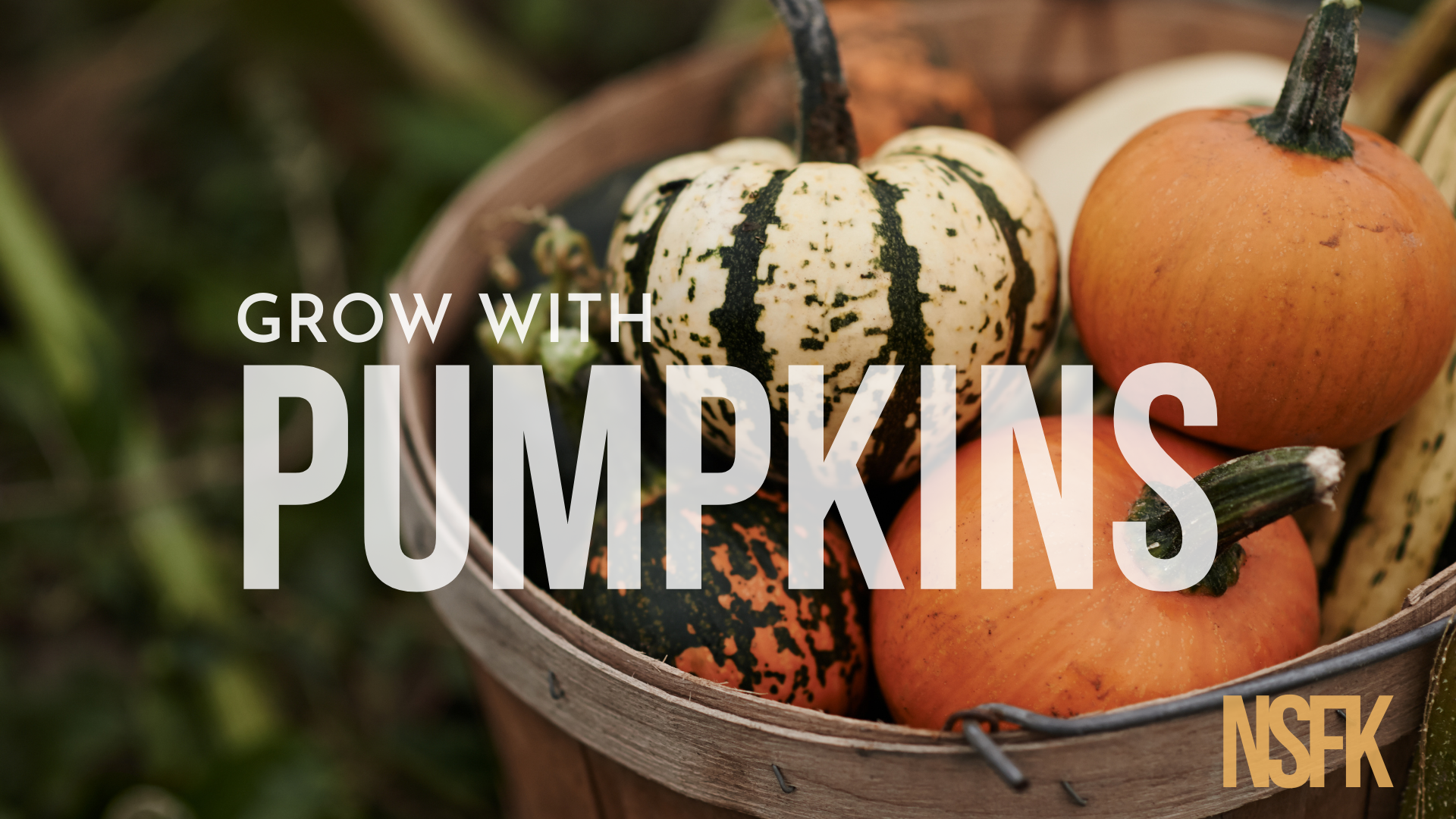 5. Grow with Pumpkins