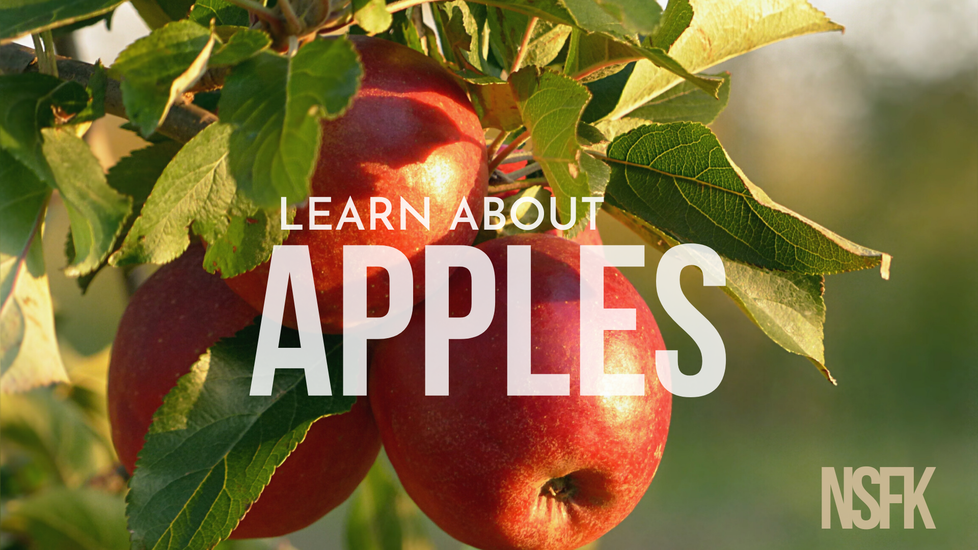 10. Apples