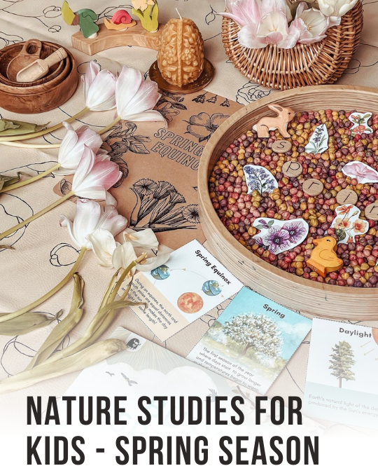 Spring Equinox lesson and field journal (10).png