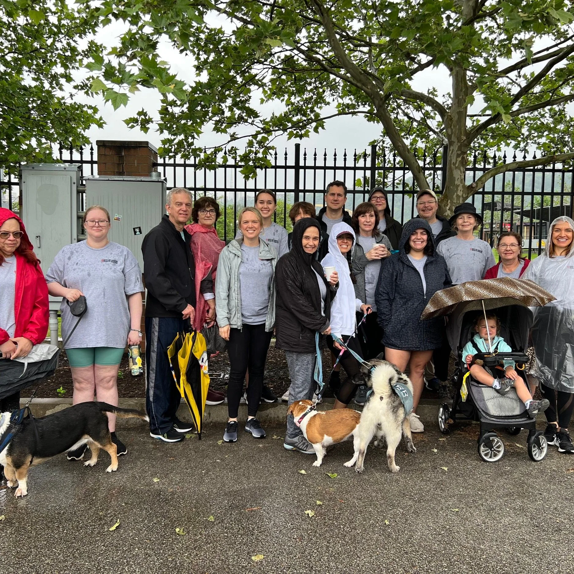 $3K Raised at Highmark Walk for a Healthy Community