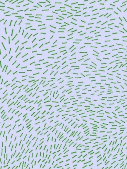 Sticks.green.jpg