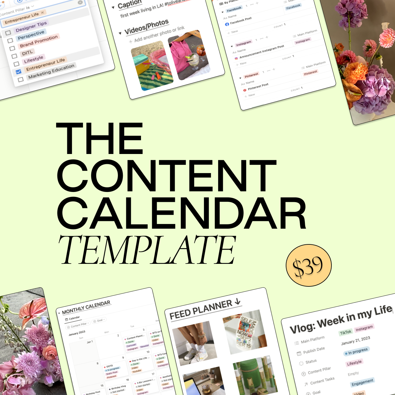 The Perfect Content Calendar Template for Notion — Taylor Loren